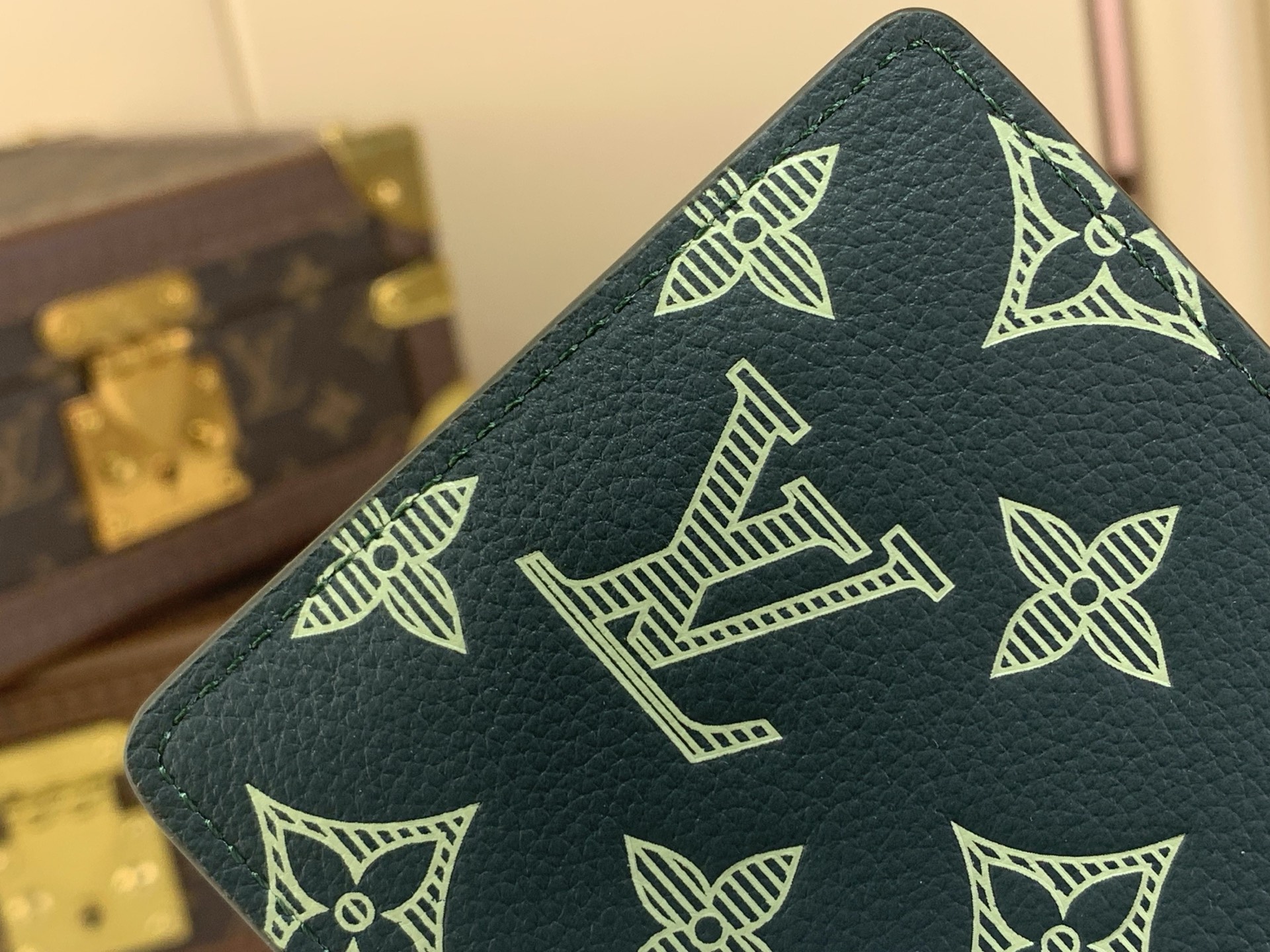 Louis Vuitton Basic Bag Cow Leather Green M-l