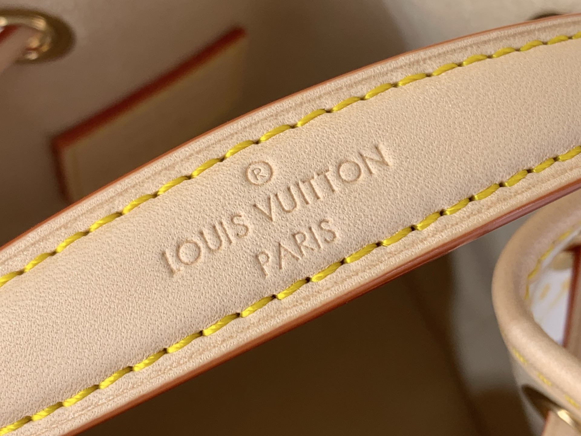 Louis Vuitton Basic Bag Cow Leather M