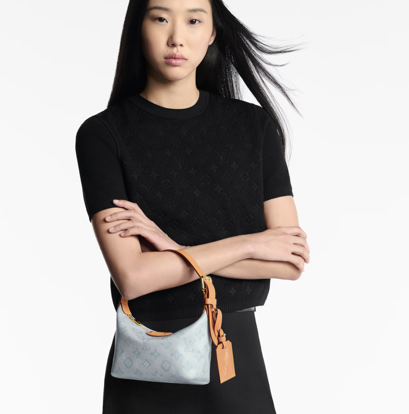 Louis Vuitton Basic Bag Blue M-l-s