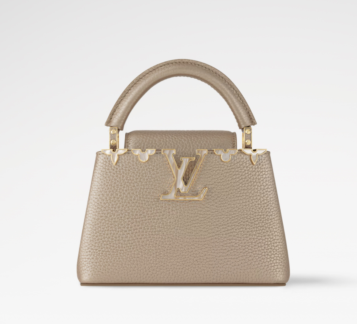 Louis Vuitton Basic Bag M-s