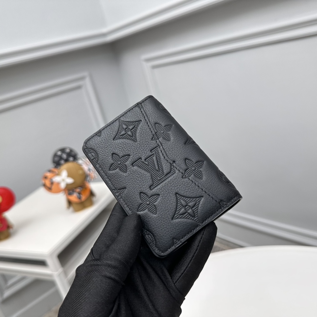 Louis Vuitton Basic Bag Cow Leather Black M-s