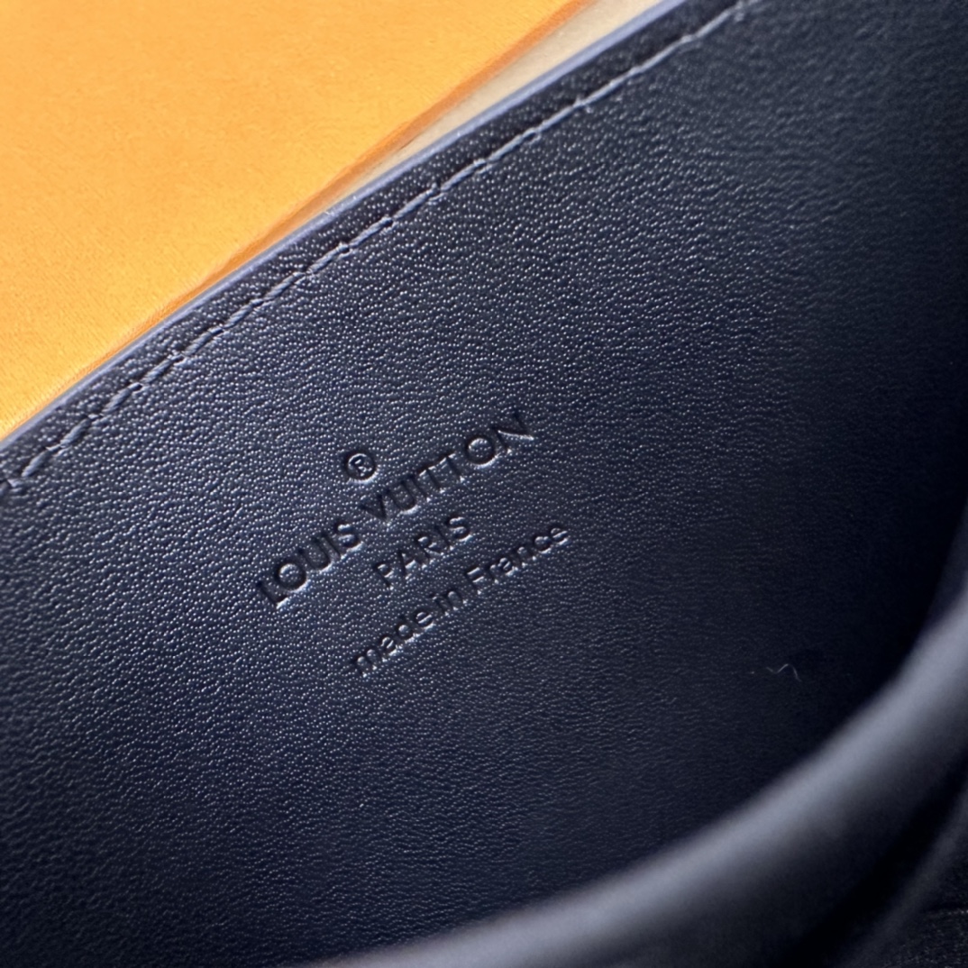 Louis Vuitton Basic Bag Cow Leather M-l-s