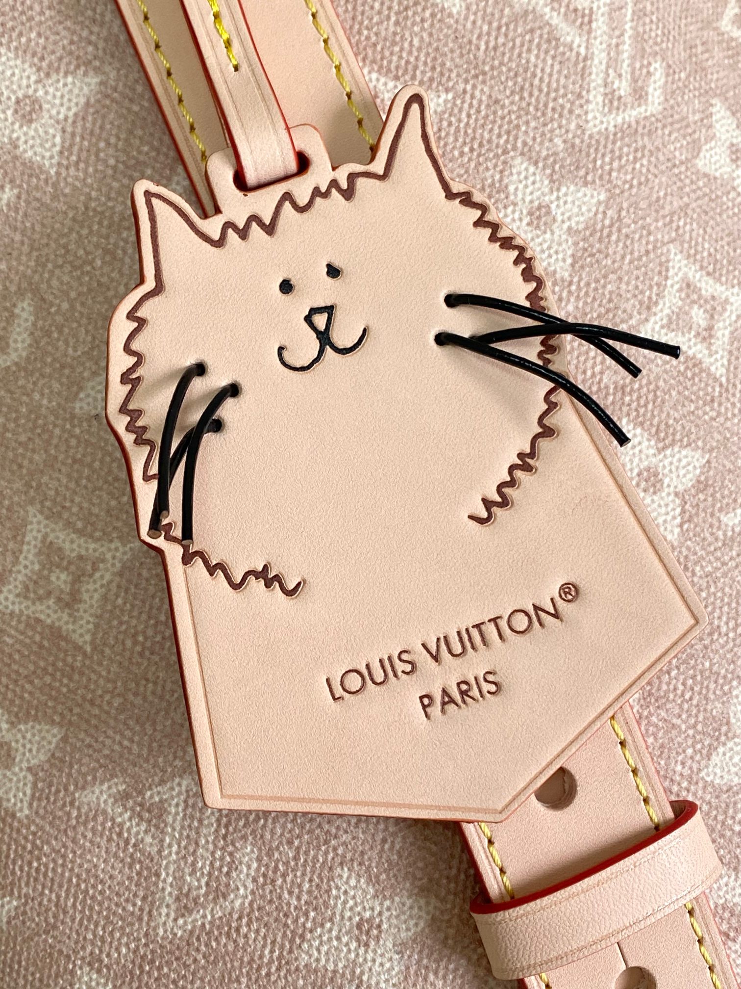 Louis Vuitton Basic Bag Cow Leather M-l-s