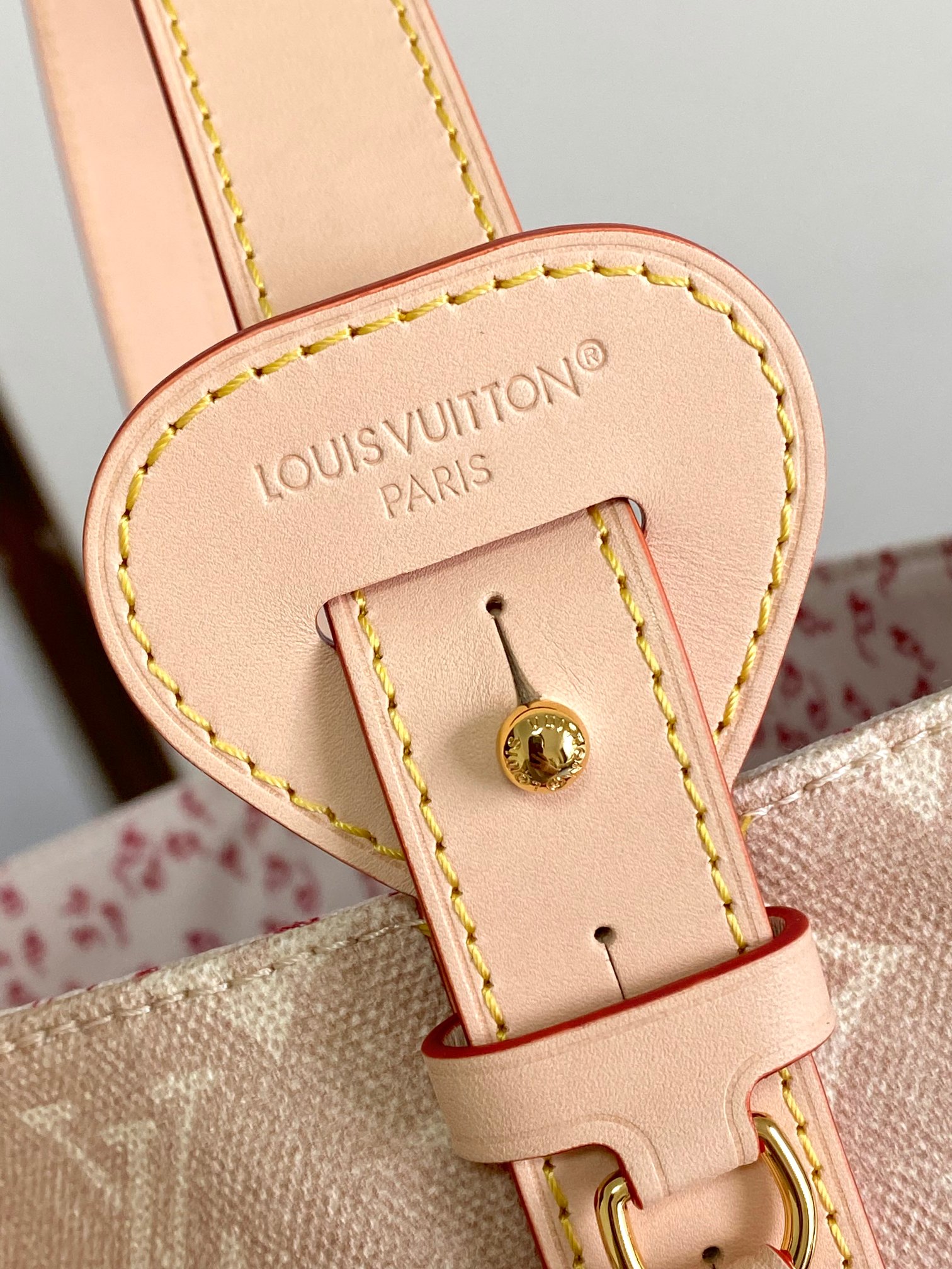 Louis Vuitton Basic Bag Cow Leather M-l-s