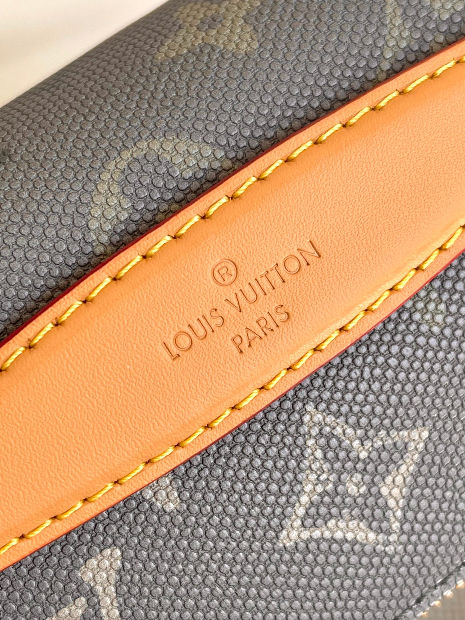 Louis Vuitton Basic Bag Canvas Green M-l-s