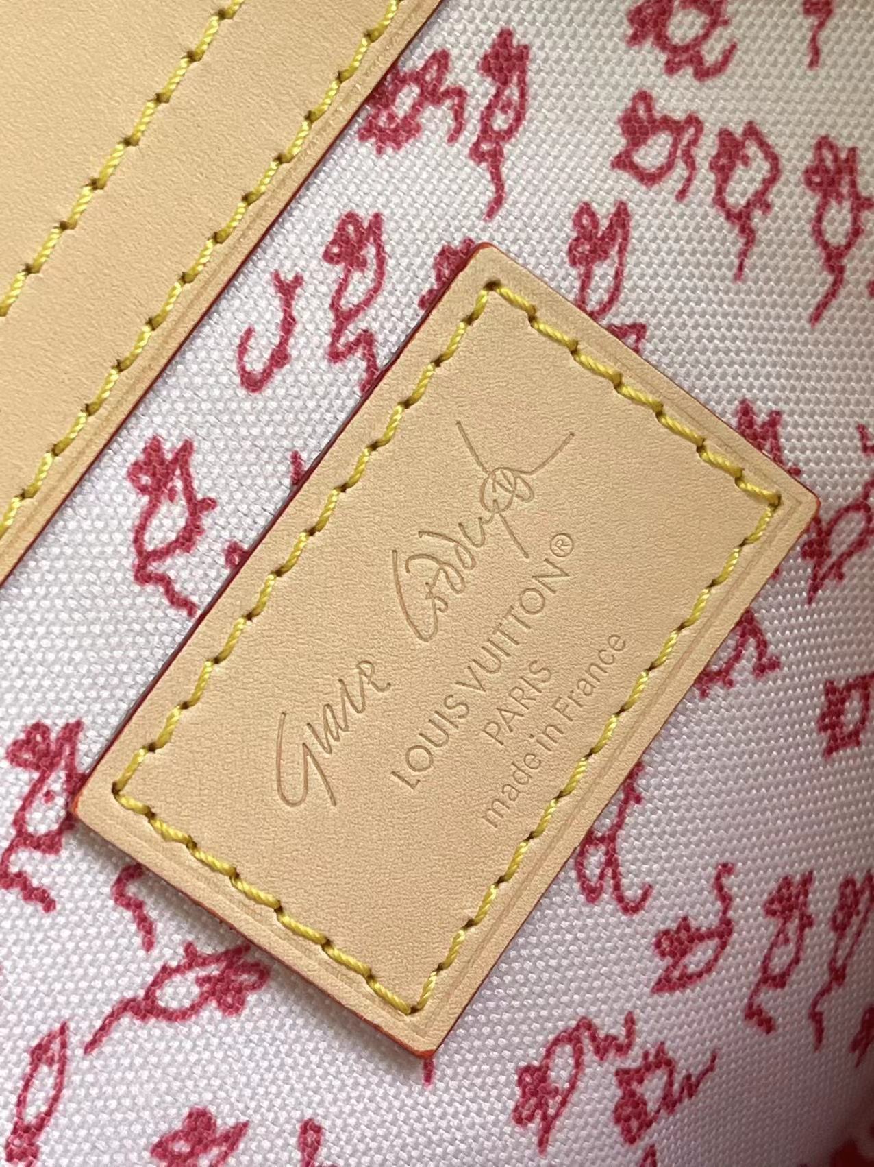 Louis Vuitton Basic Bag Canvas M-s