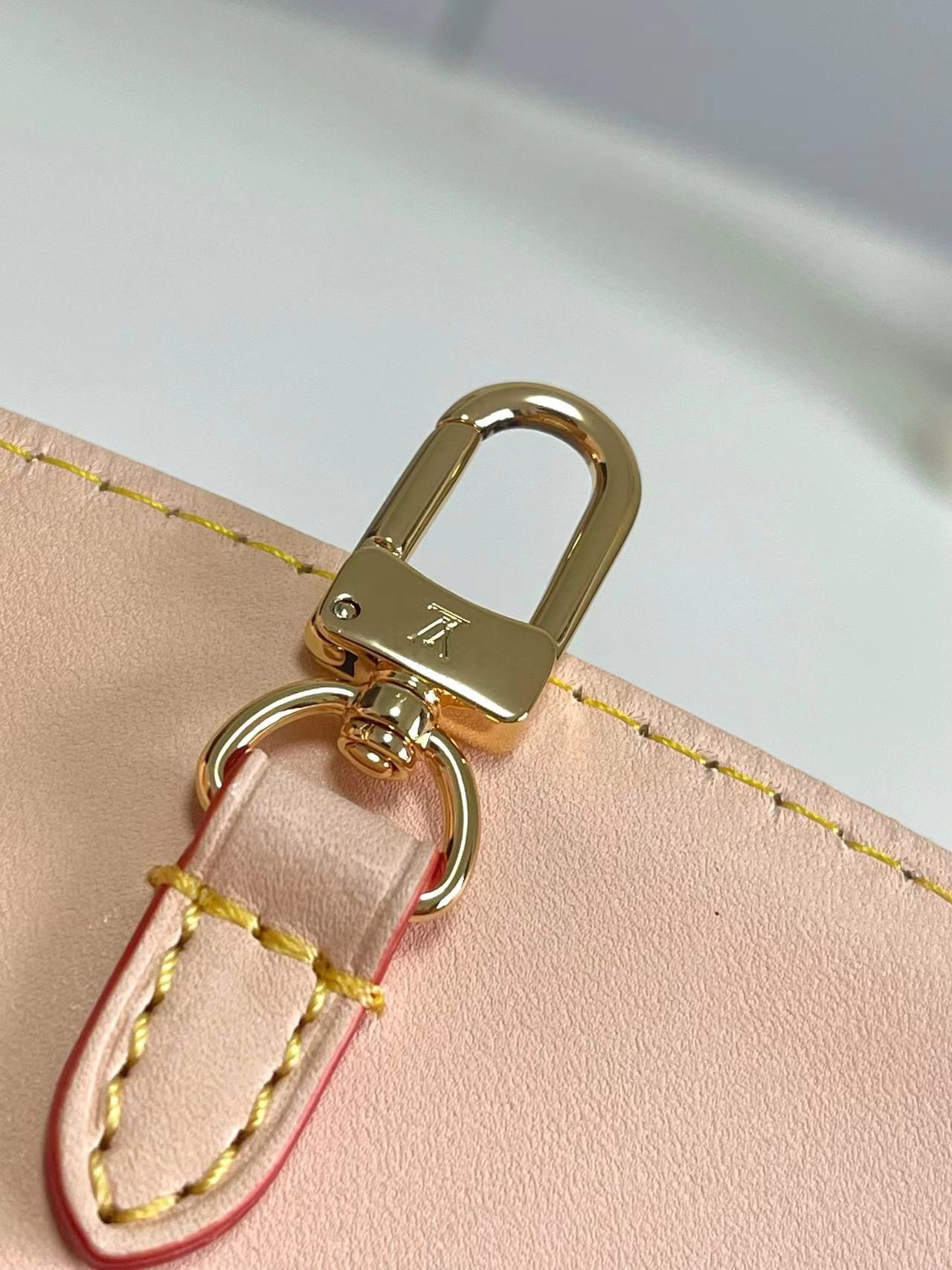 Louis Vuitton Basic Bag Canvas M-s