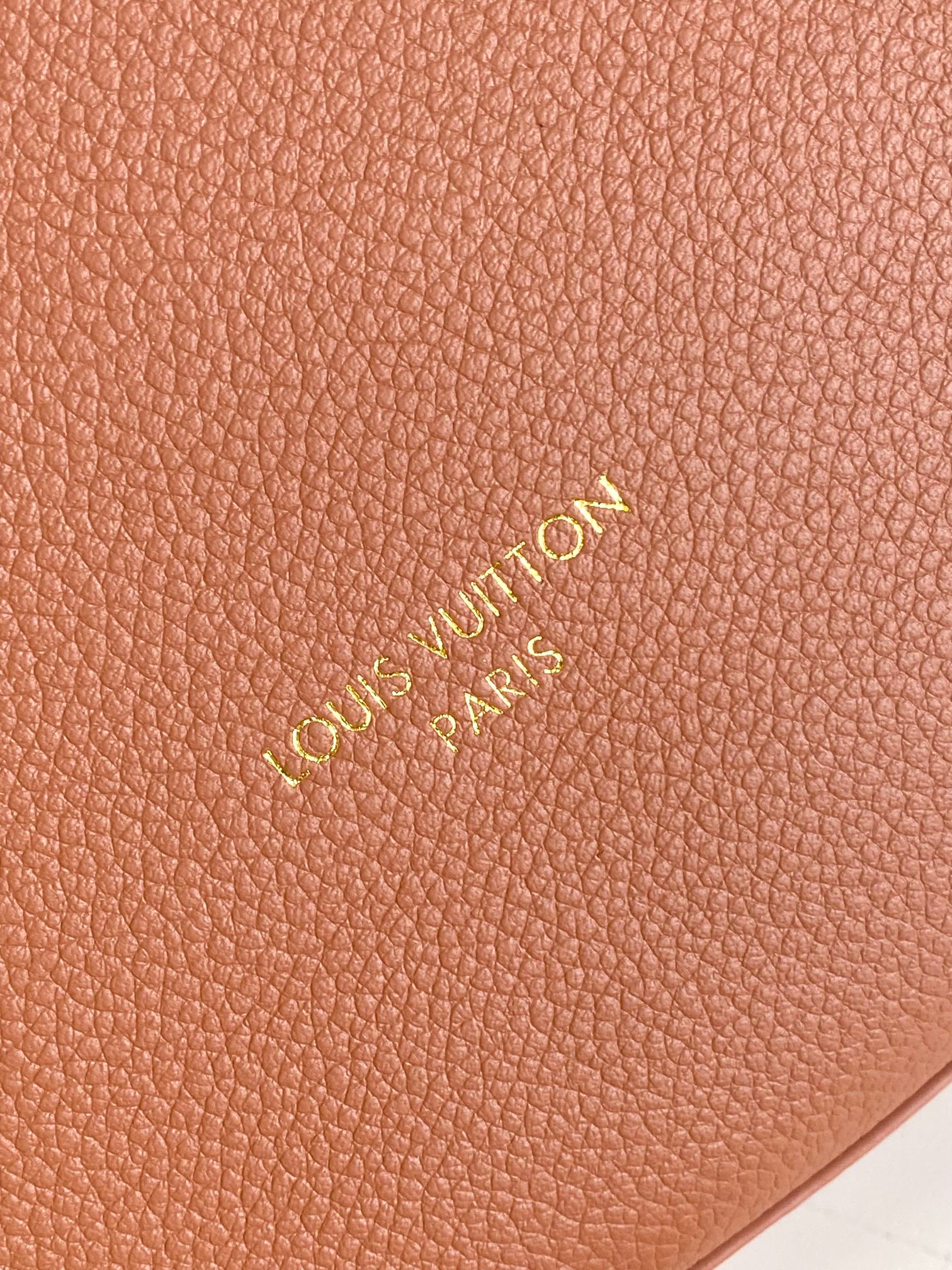 Louis Vuitton Basic Bag Cow Leather Black M-l