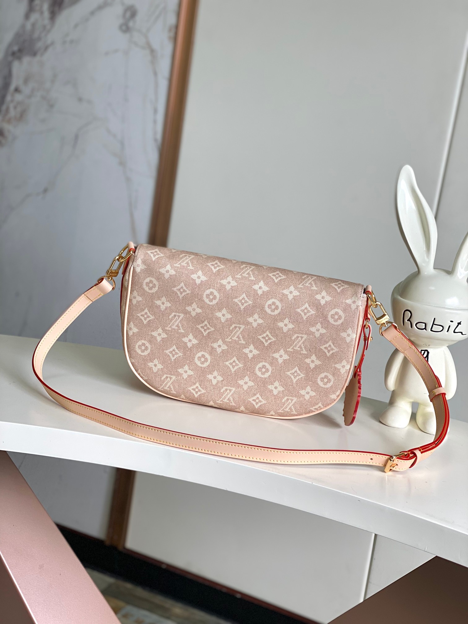 Louis Vuitton Basic Bag Canvas M-l-s