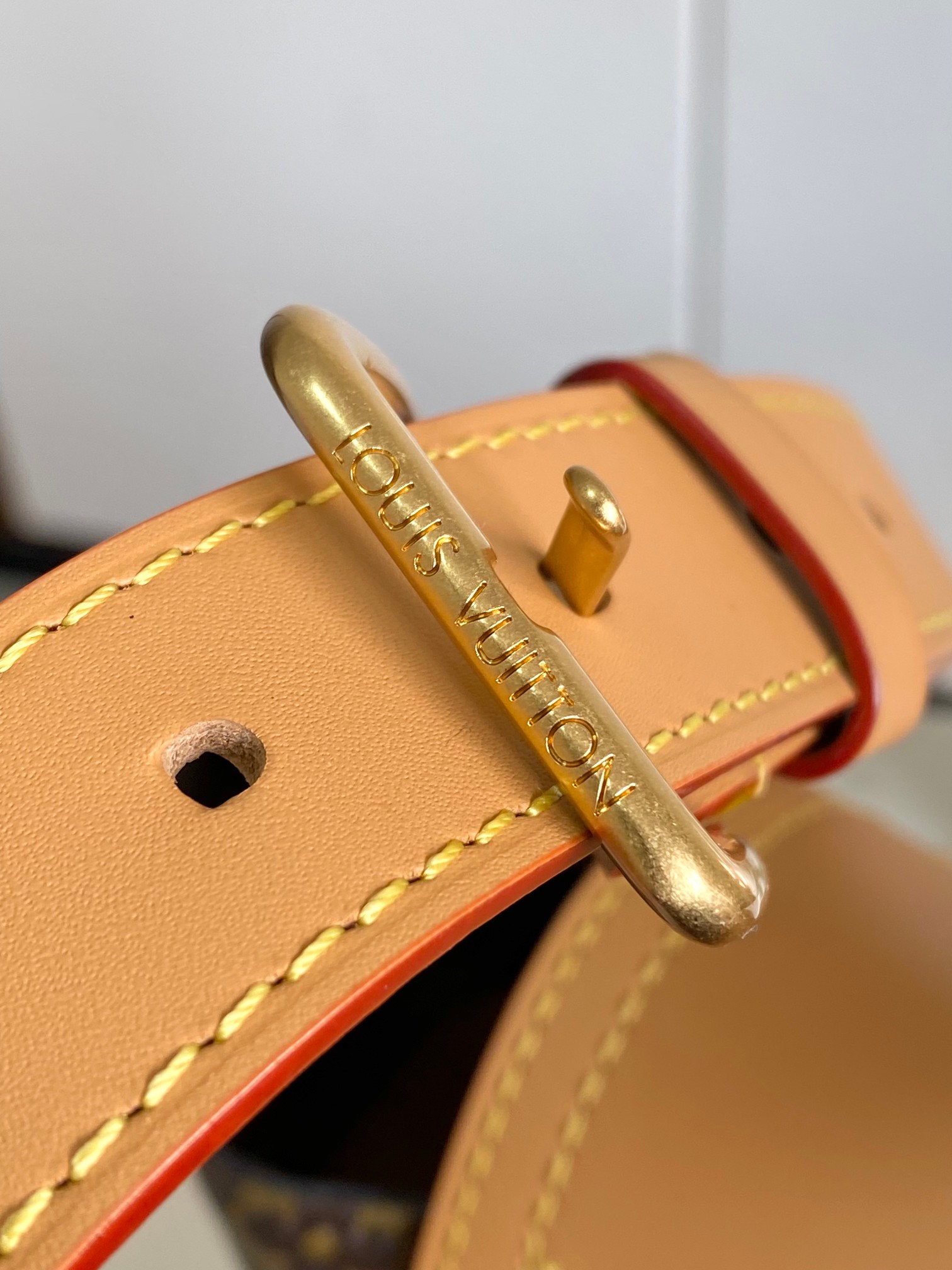 Louis Vuitton Basic Bag Canvas M-l-s