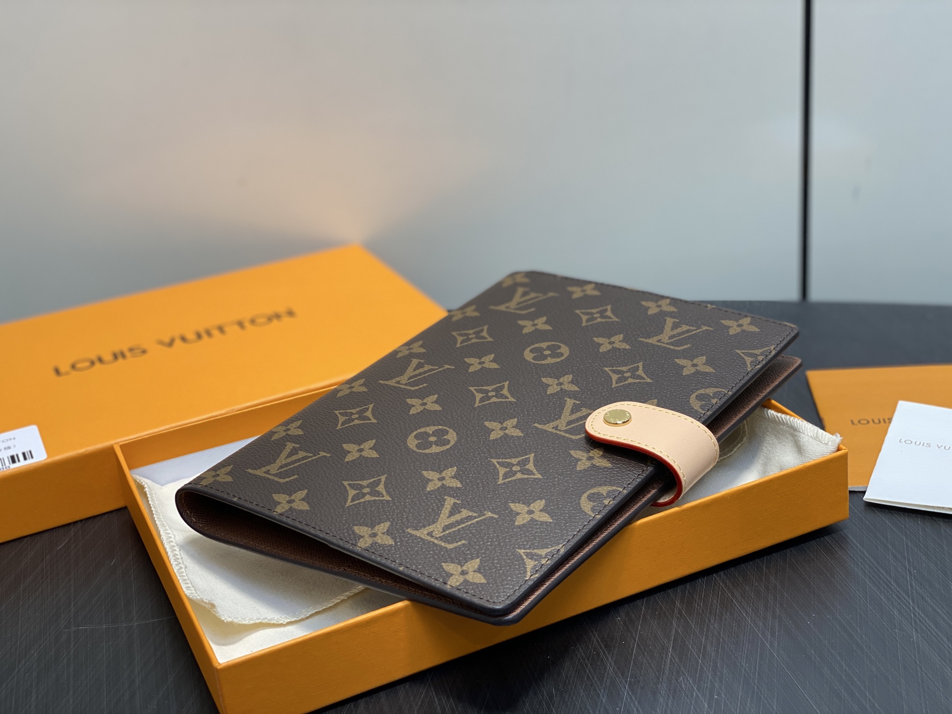 Louis Vuitton Basic Bag Canvas M-l