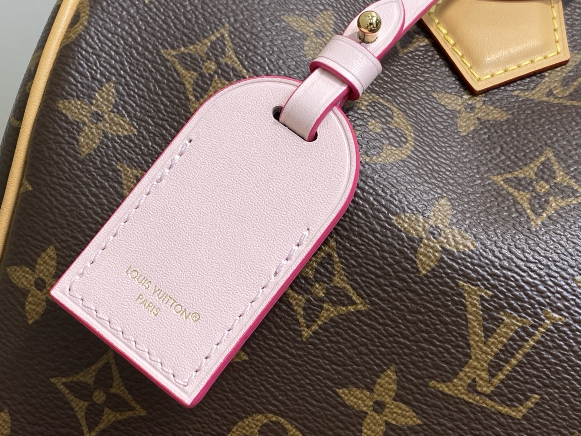 Louis Vuitton Basic Bag Canvas Pink M-s