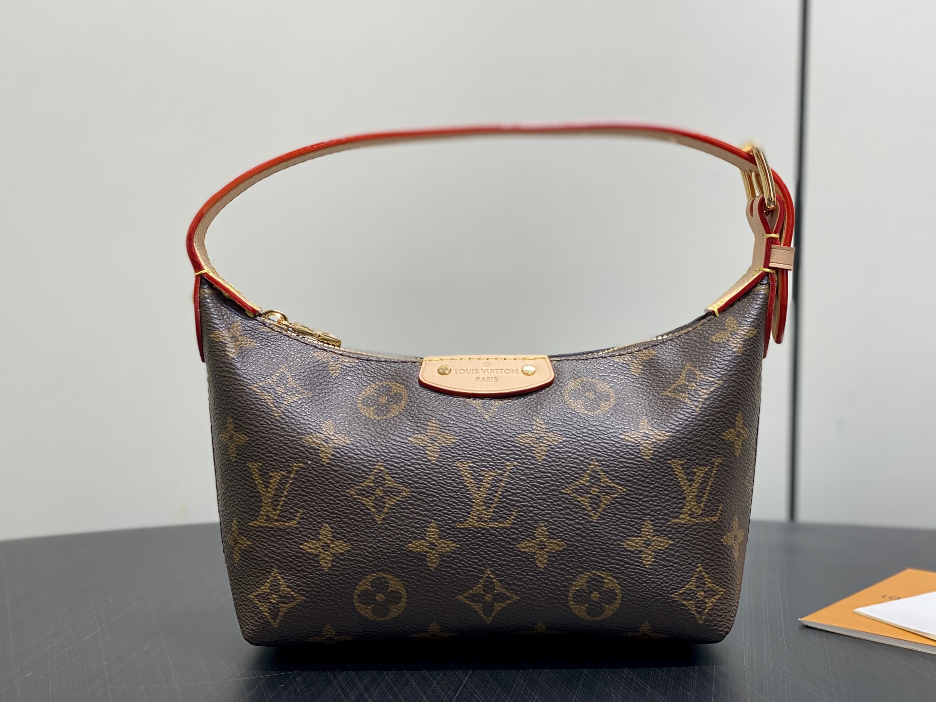 Louis Vuitton Basic Bag Cow Leather M-l-s