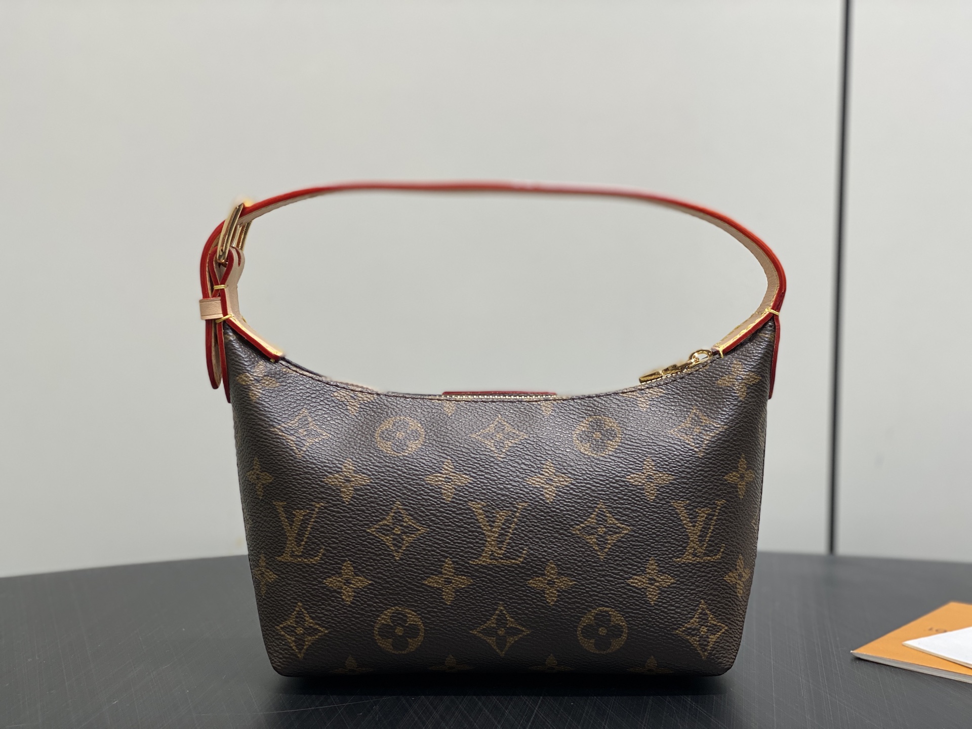 Louis Vuitton Basic Bag Cow Leather M-l-s