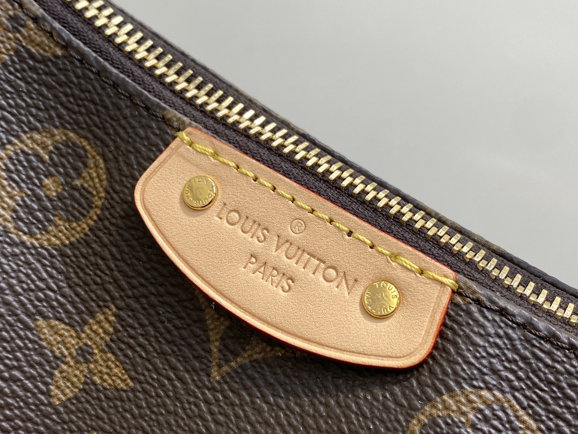 Louis Vuitton Basic Bag Cow Leather M-l-s