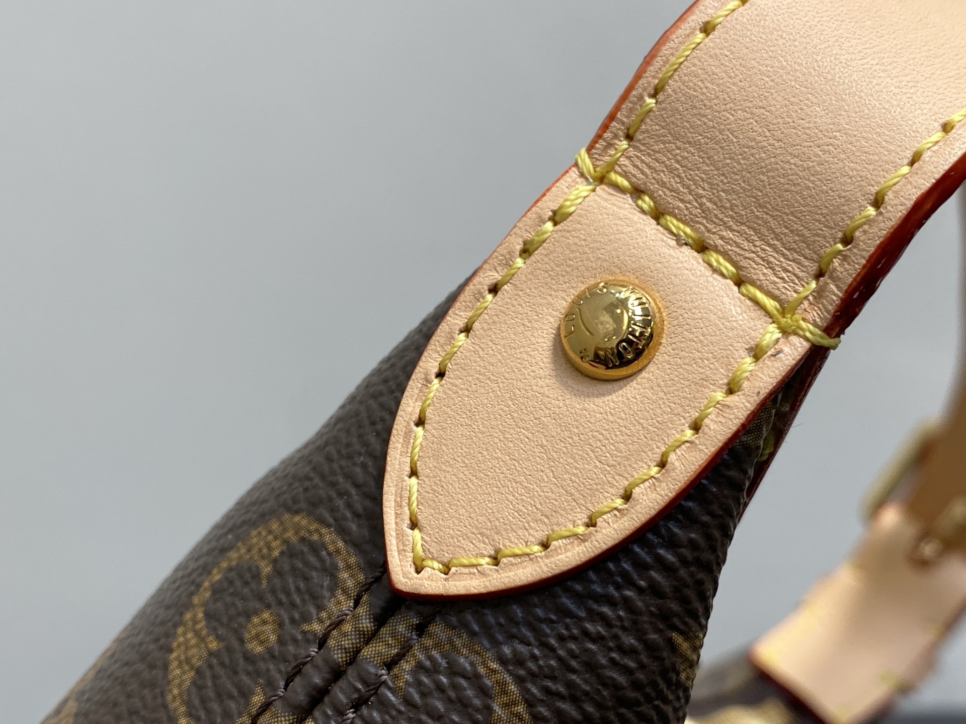 Louis Vuitton Basic Bag Cow Leather M-l-s