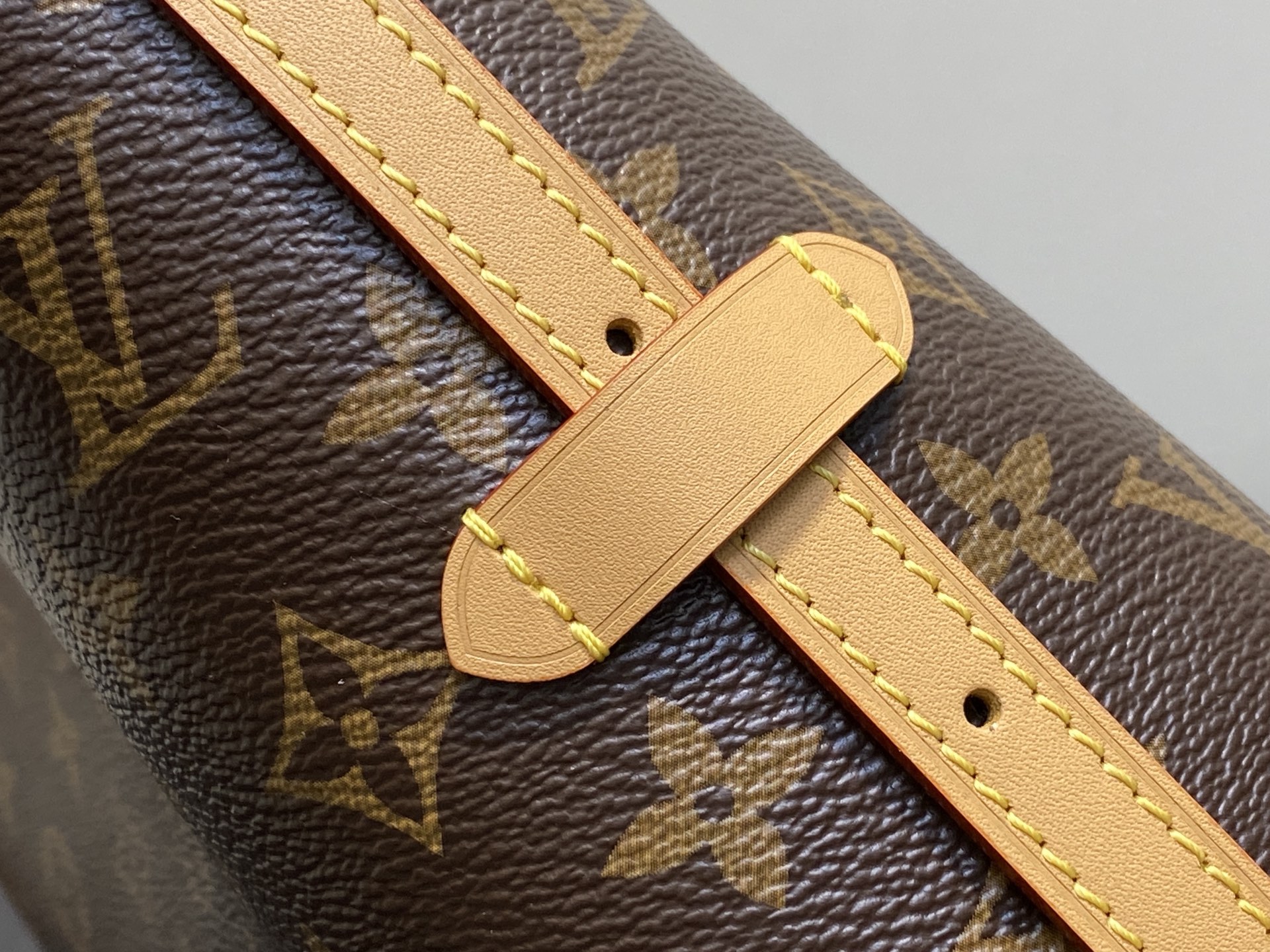 Louis Vuitton Tote Bag Canvas M-l-s