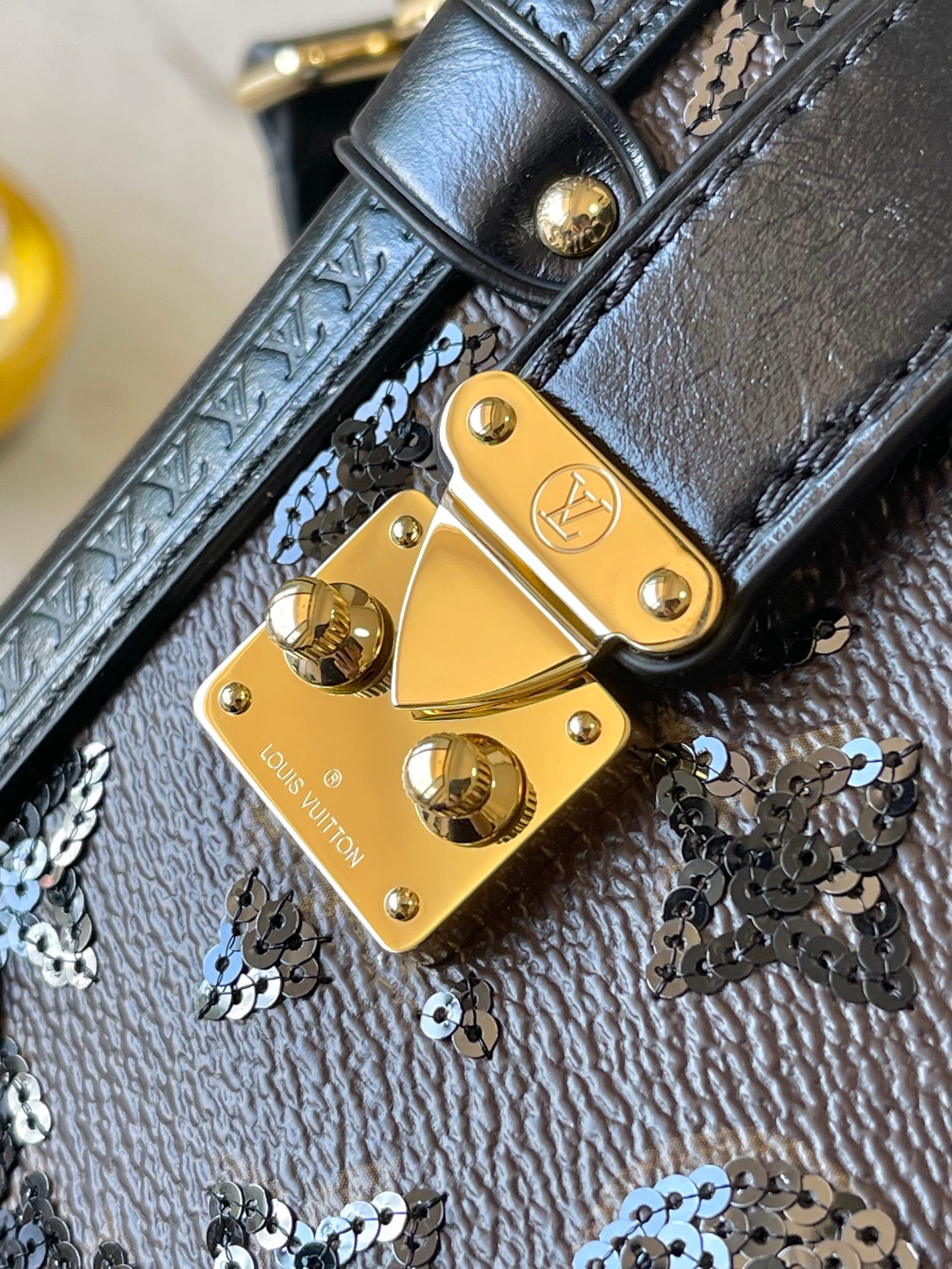 Louis Vuitton Basic Bag Canvas M-s