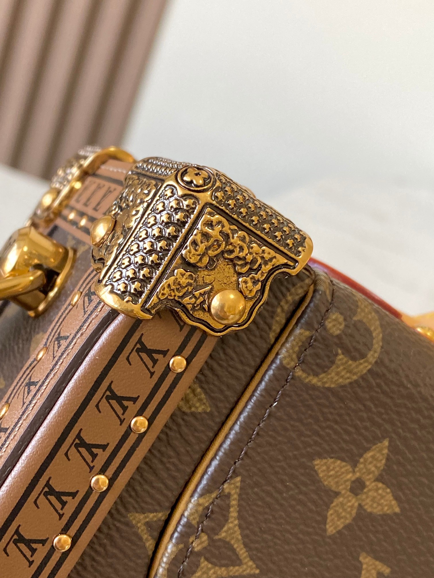 Louis Vuitton Basic Bag Canvas M-s-22cm