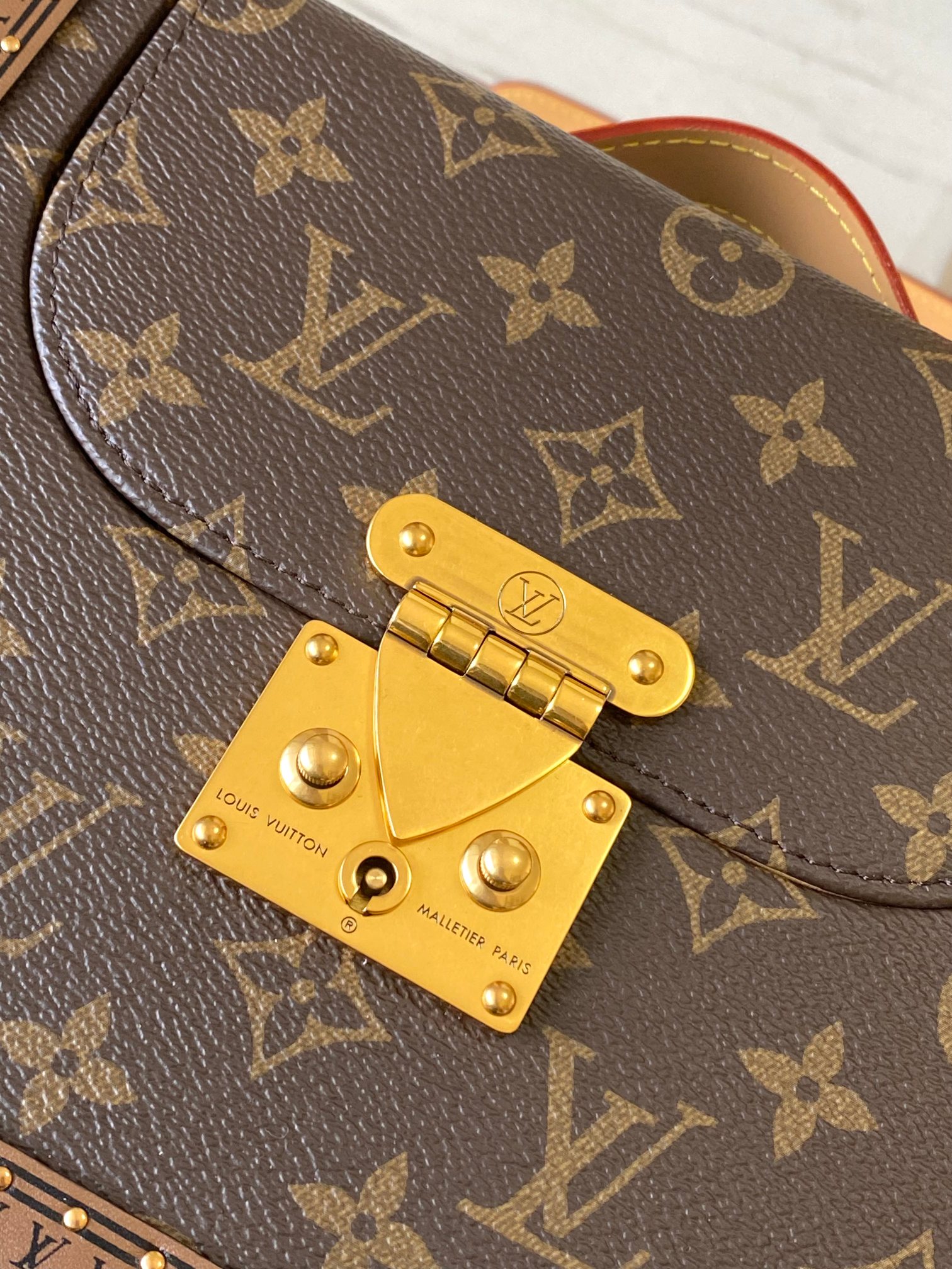 Louis Vuitton Basic Bag Canvas M-s-22cm
