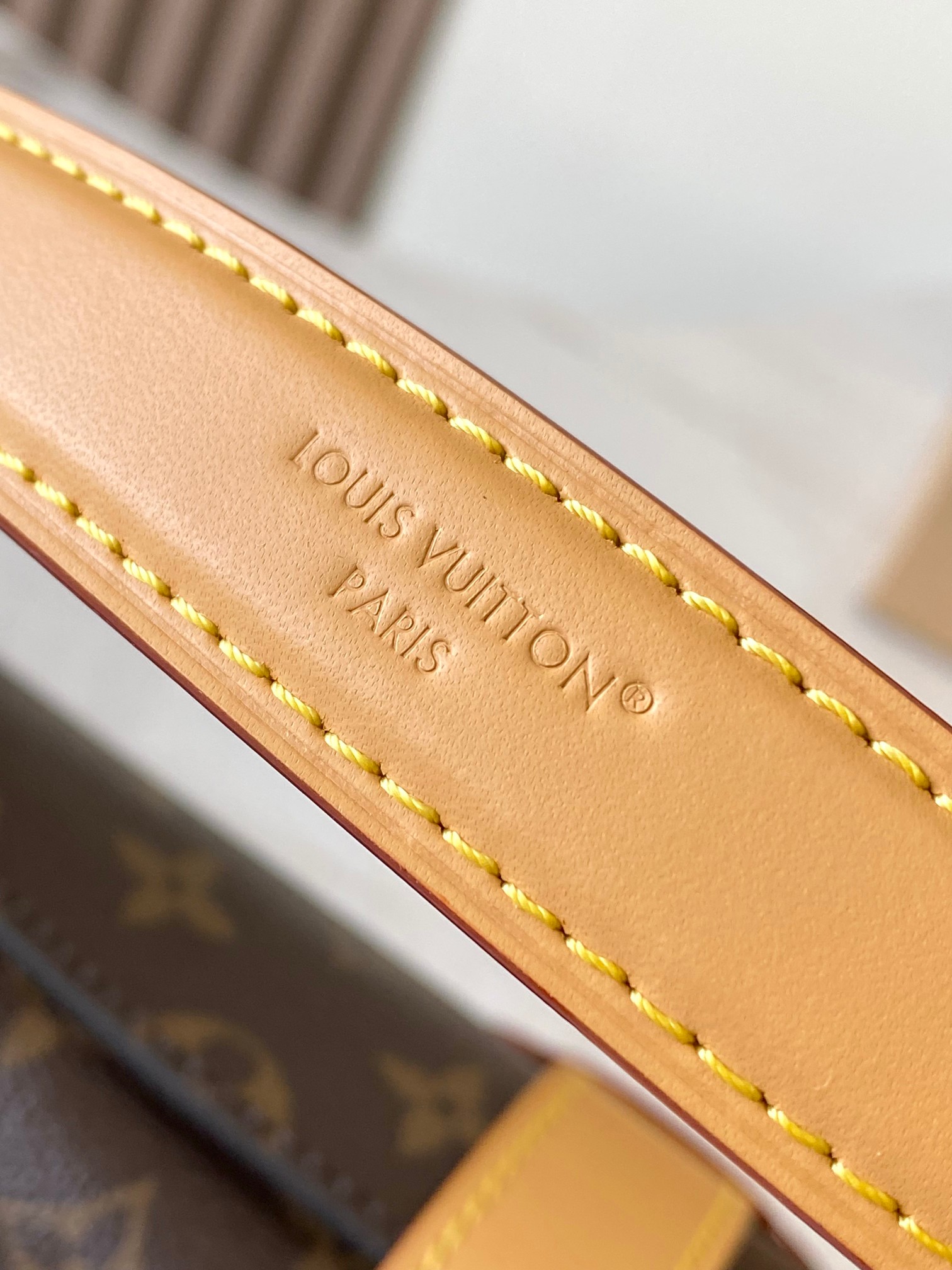 Louis Vuitton Basic Bag M