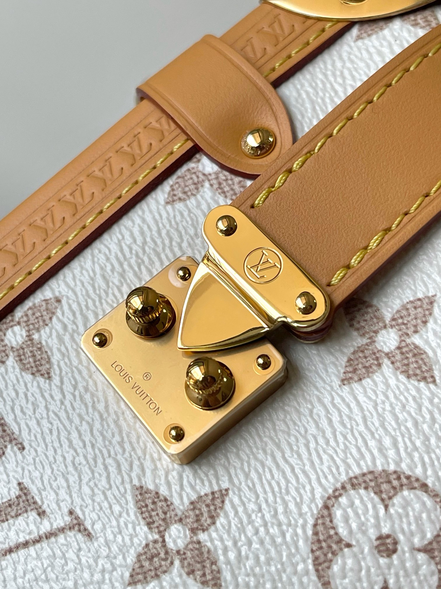 Louis Vuitton Basic Bag M-s