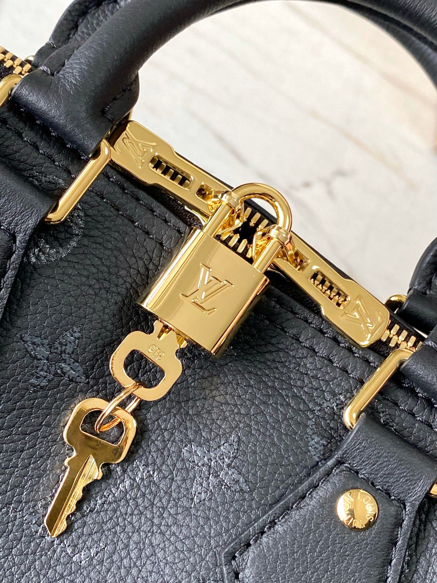 Louis Vuitton Basic Bag Cow Leather M-l-s