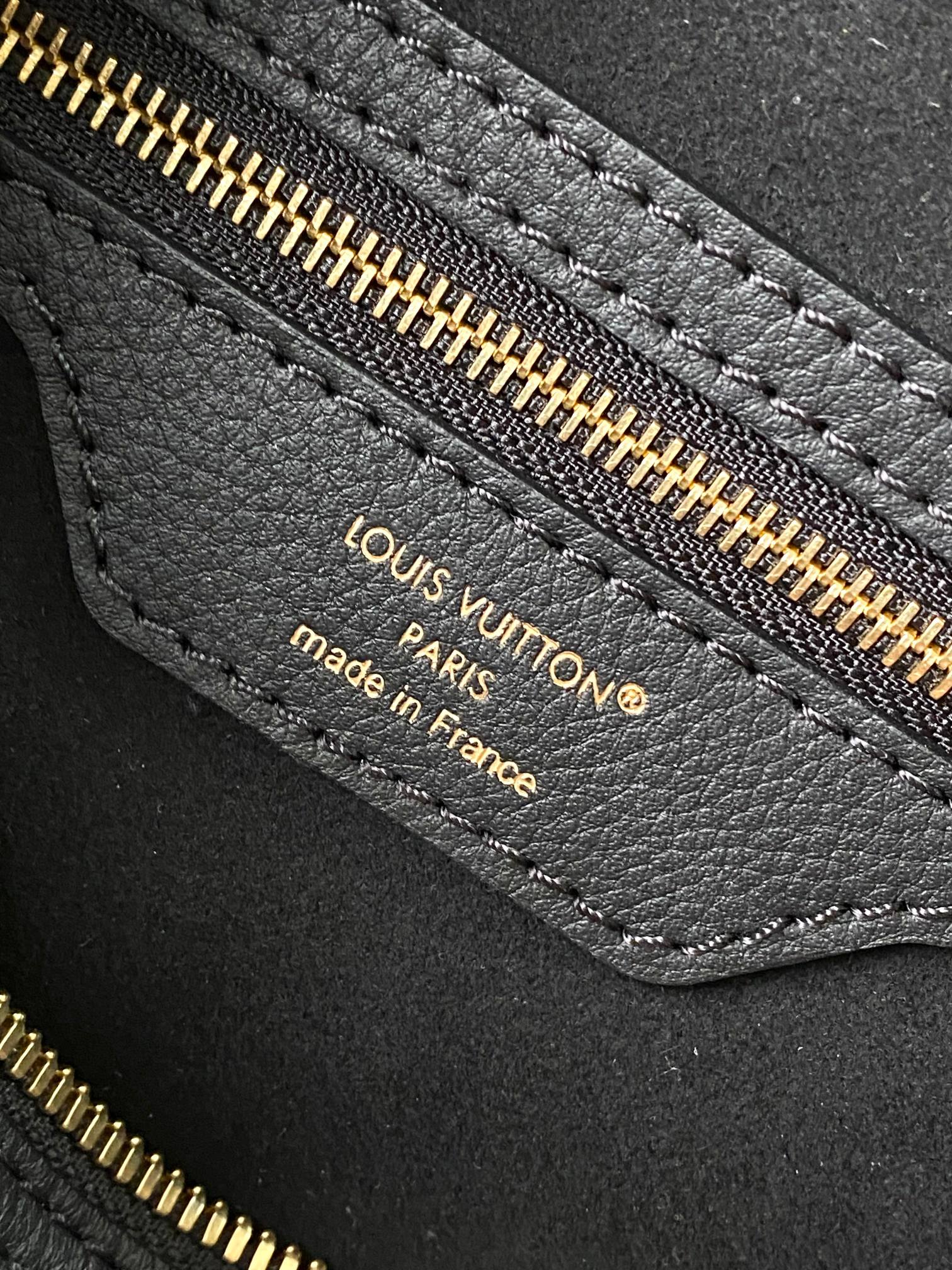 Louis Vuitton Basic Bag Cow Leather M-l-s