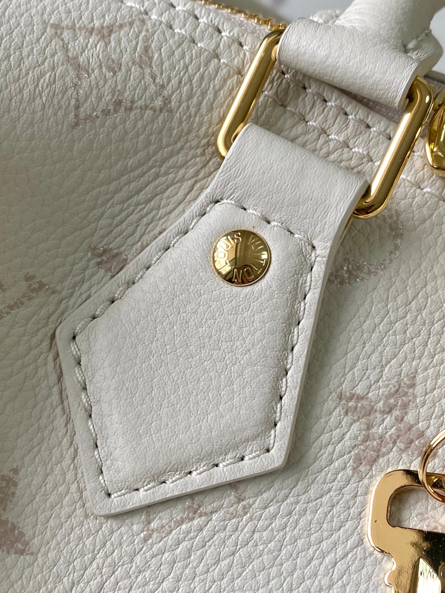 Louis Vuitton Basic Bag Cow Leather M-l-s