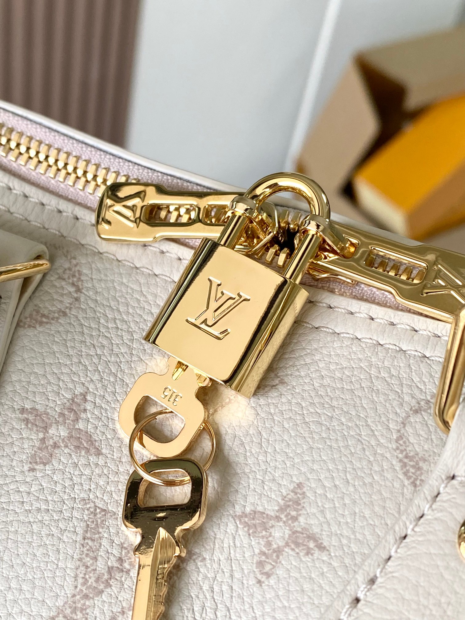 Louis Vuitton Basic Bag Cow Leather M-l-s
