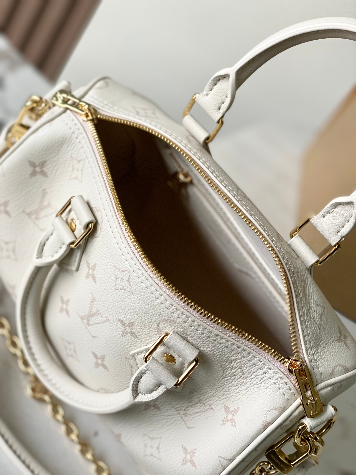 Louis Vuitton Basic Bag Cow Leather M-l-s