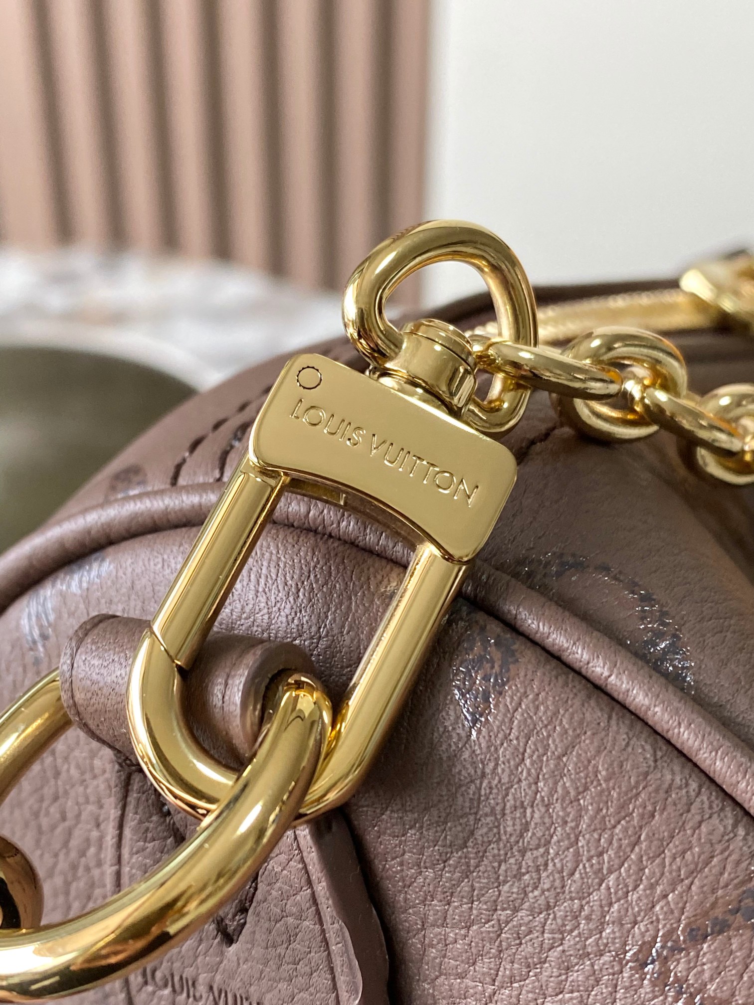 Louis Vuitton Basic Bag Cow Leather M-l-s