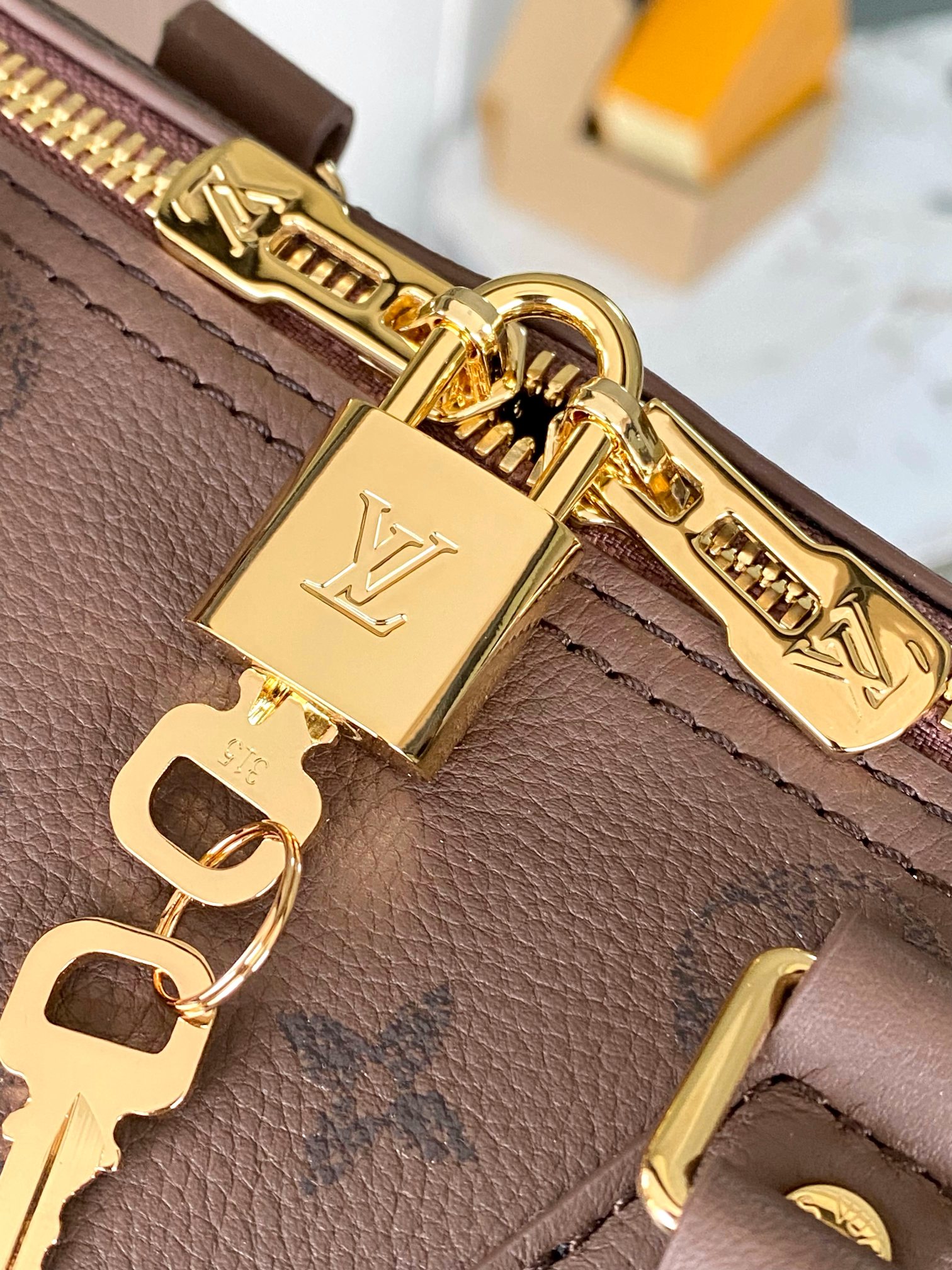 Louis Vuitton Basic Bag Cow Leather M-l-s