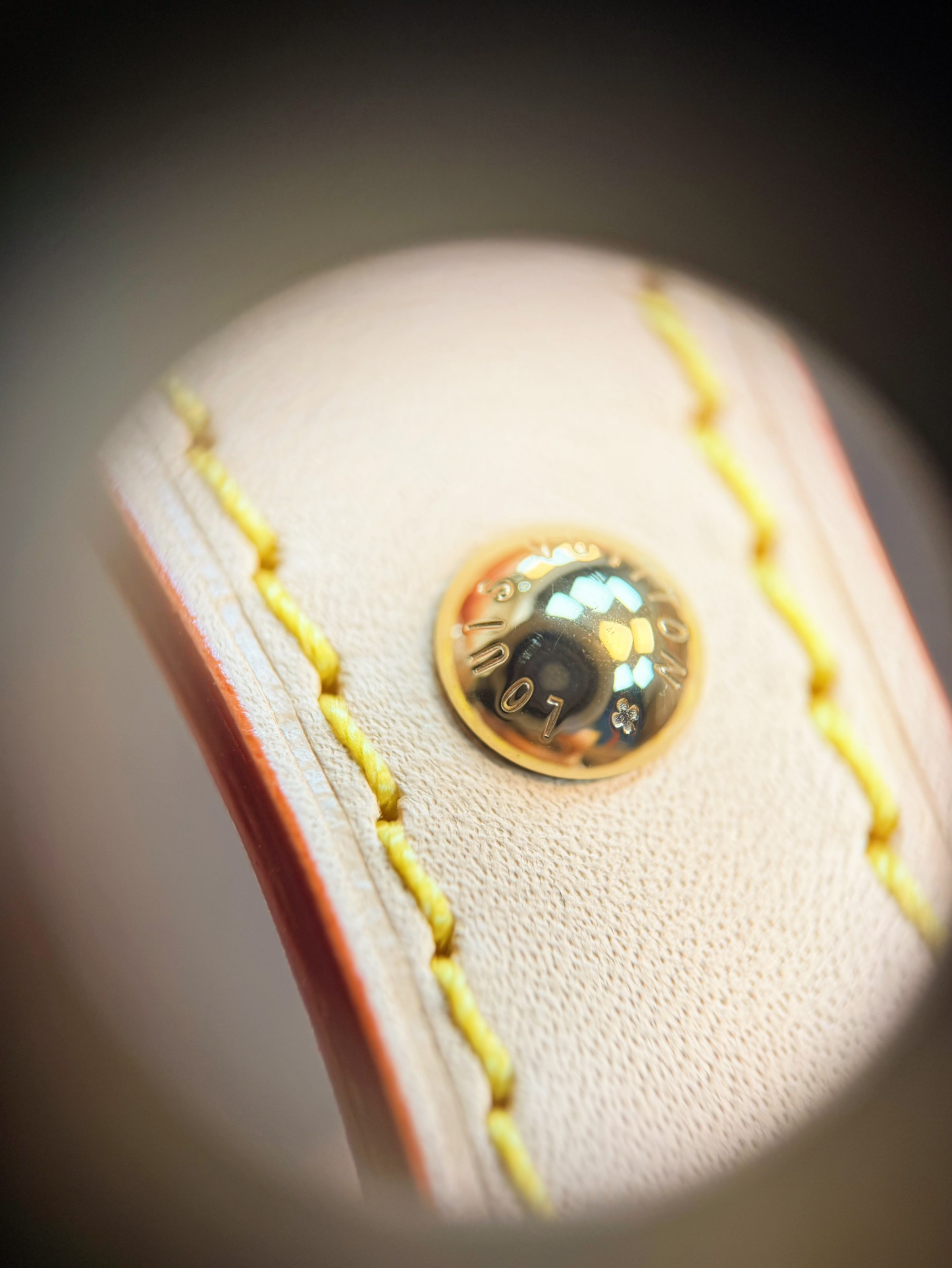 Louis Vuitton Basic Bag M