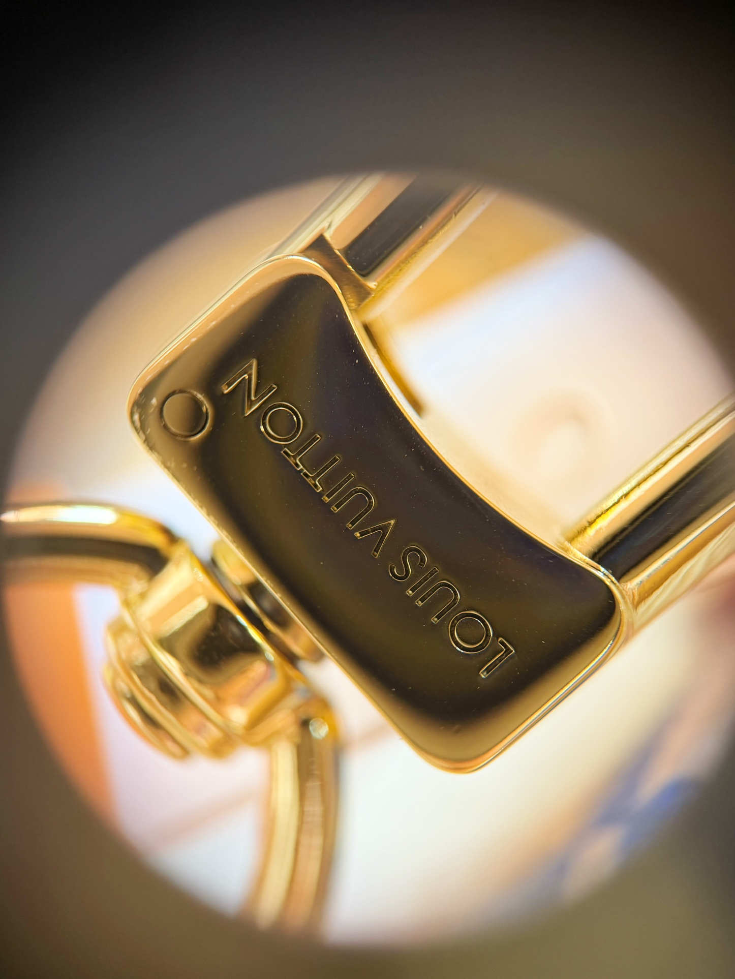 Louis Vuitton Basic Bag M