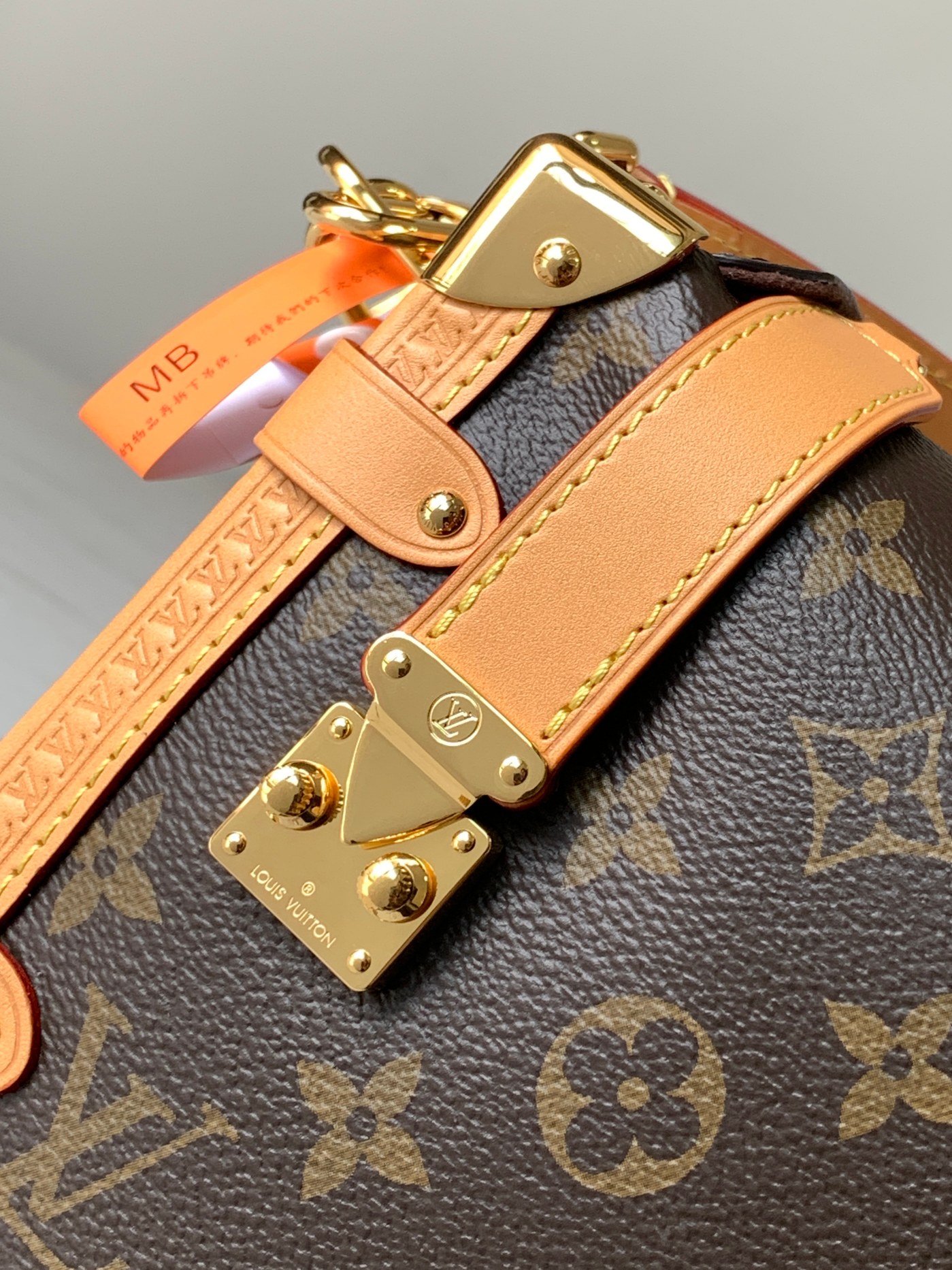 Louis Vuitton Basic Bag M-l