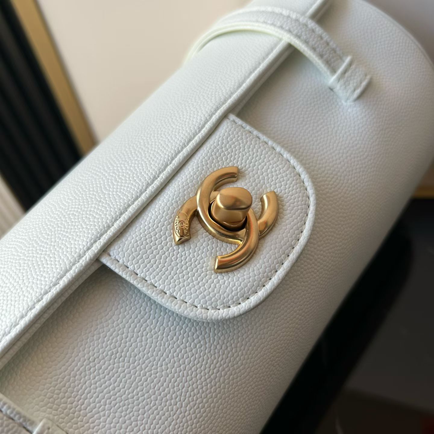 Chanel Basic Bag Cow Leather 10cm-l-s