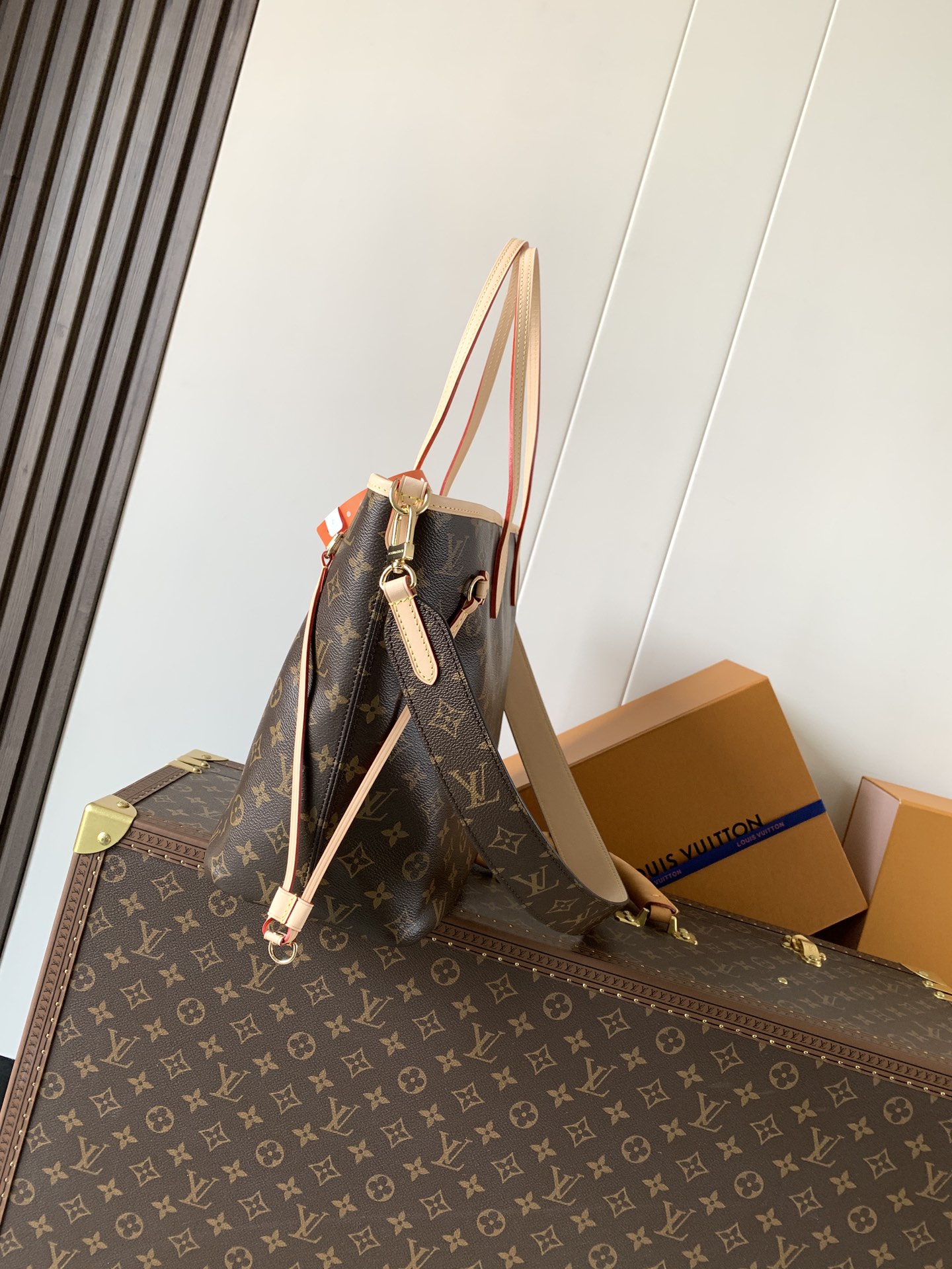 Louis Vuitton Basic Bag Cow Leather M-l-s