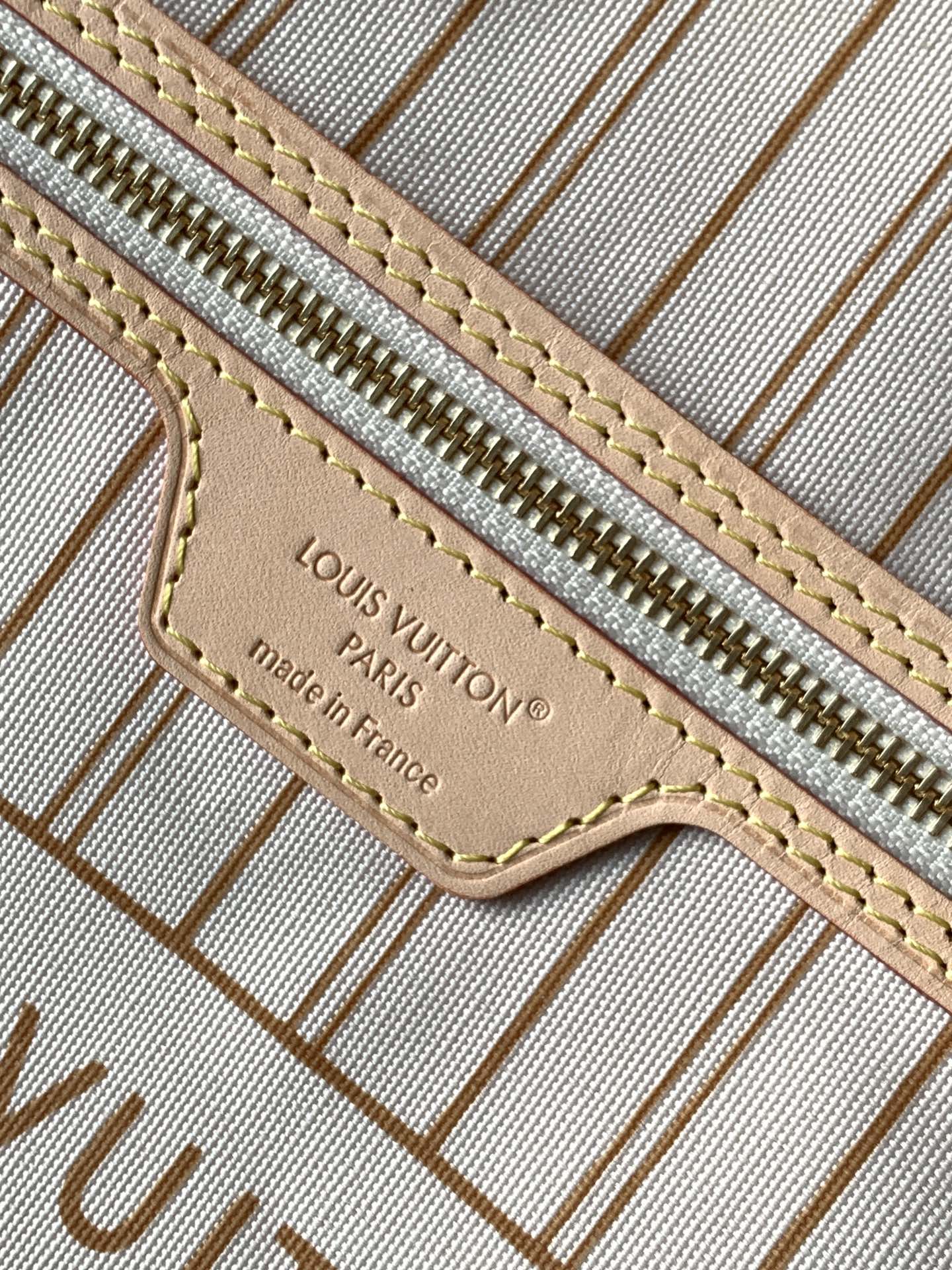 Louis Vuitton Basic Bag Cow Leather M-l-s