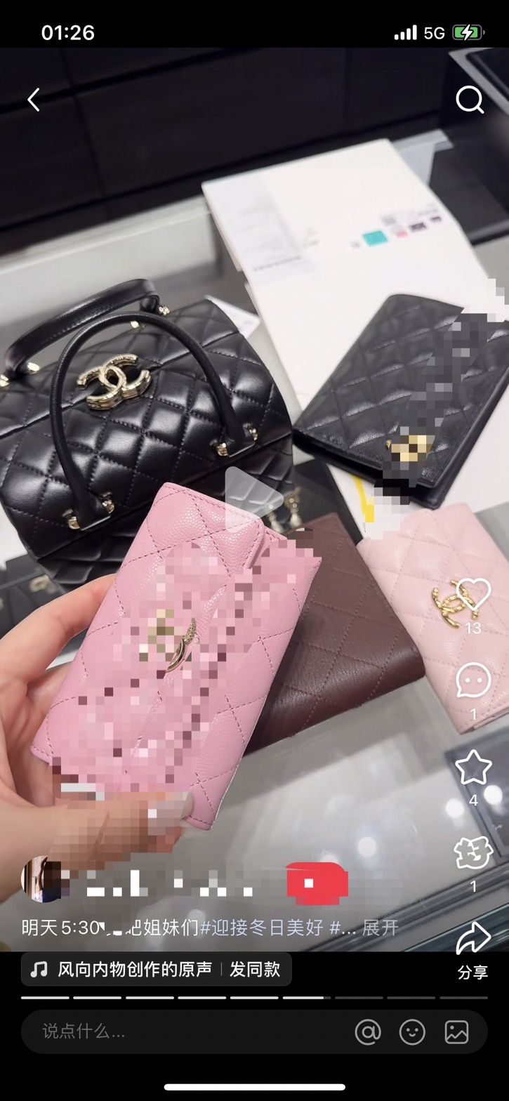 Chanel Basic Bag M-l-s