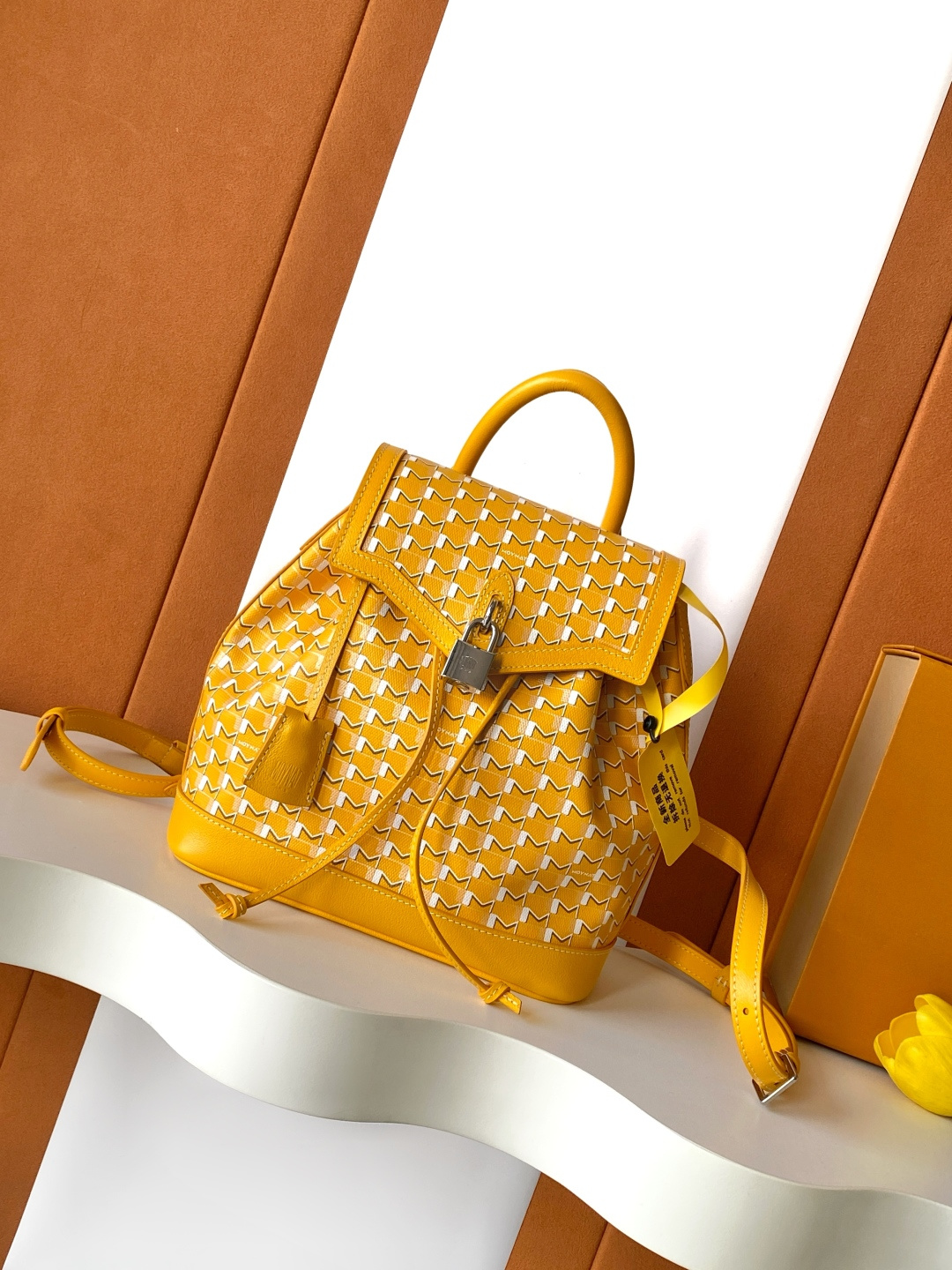 Moynat Backpack M-l-s