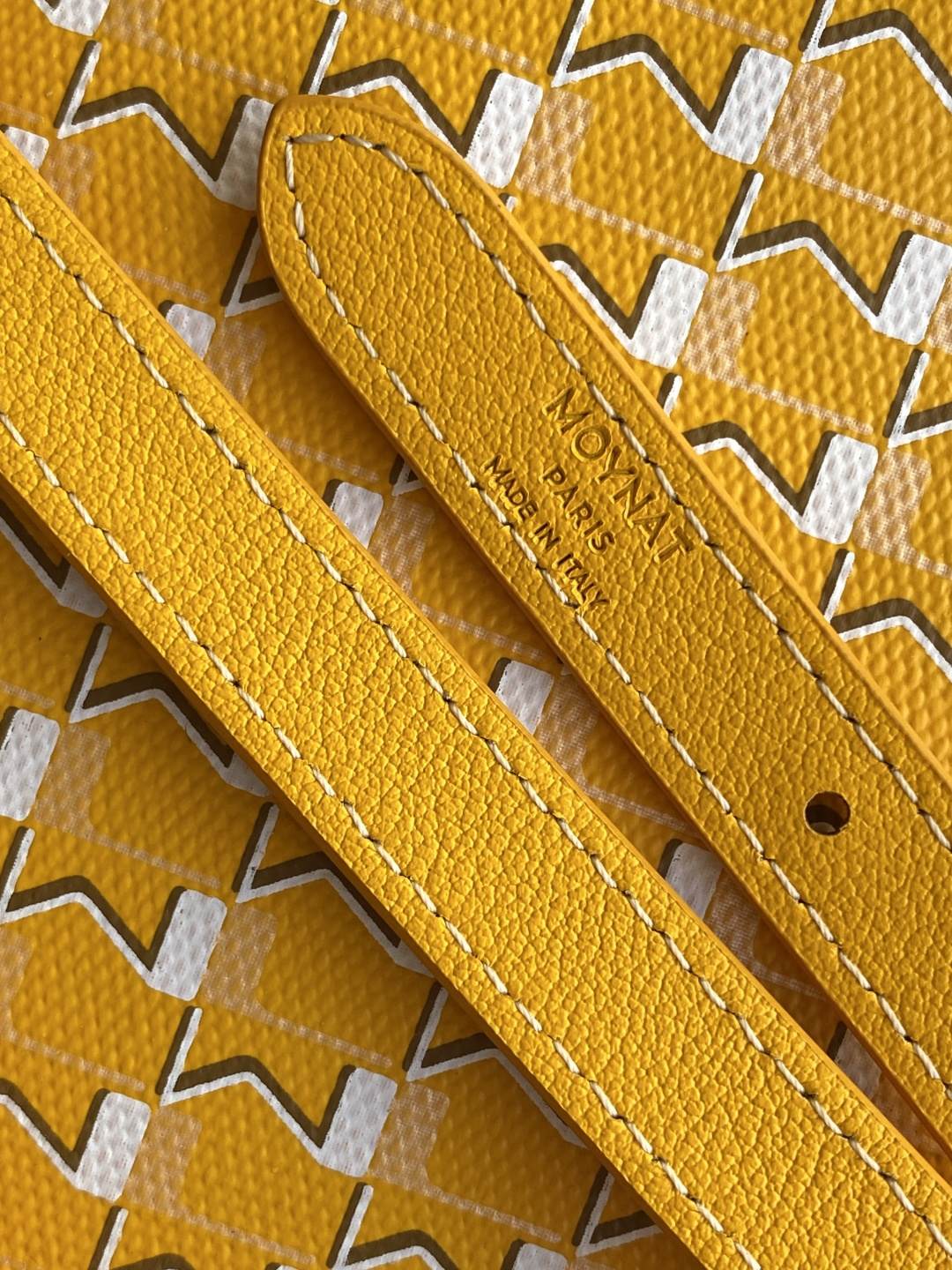 Moynat Backpack M-l-s