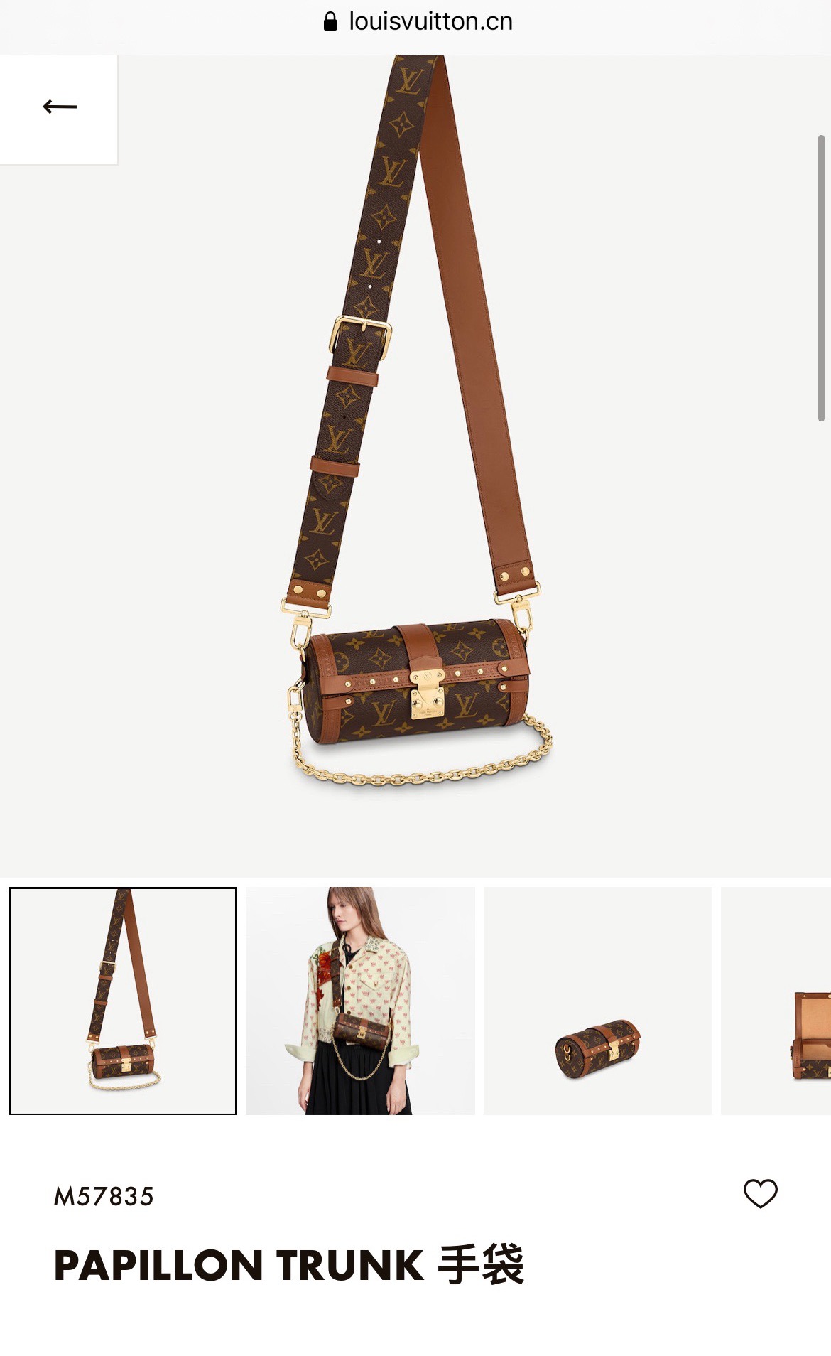 Louis Vuitton Basic Bag M-l-s