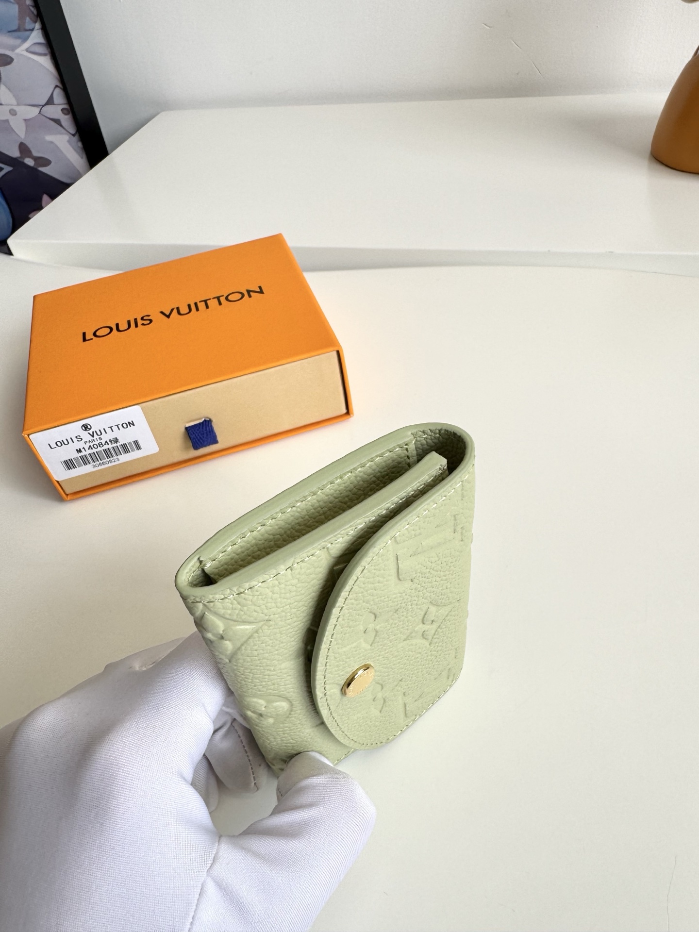 Louis Vuitton Basic Bag Canvas Green M-l-s