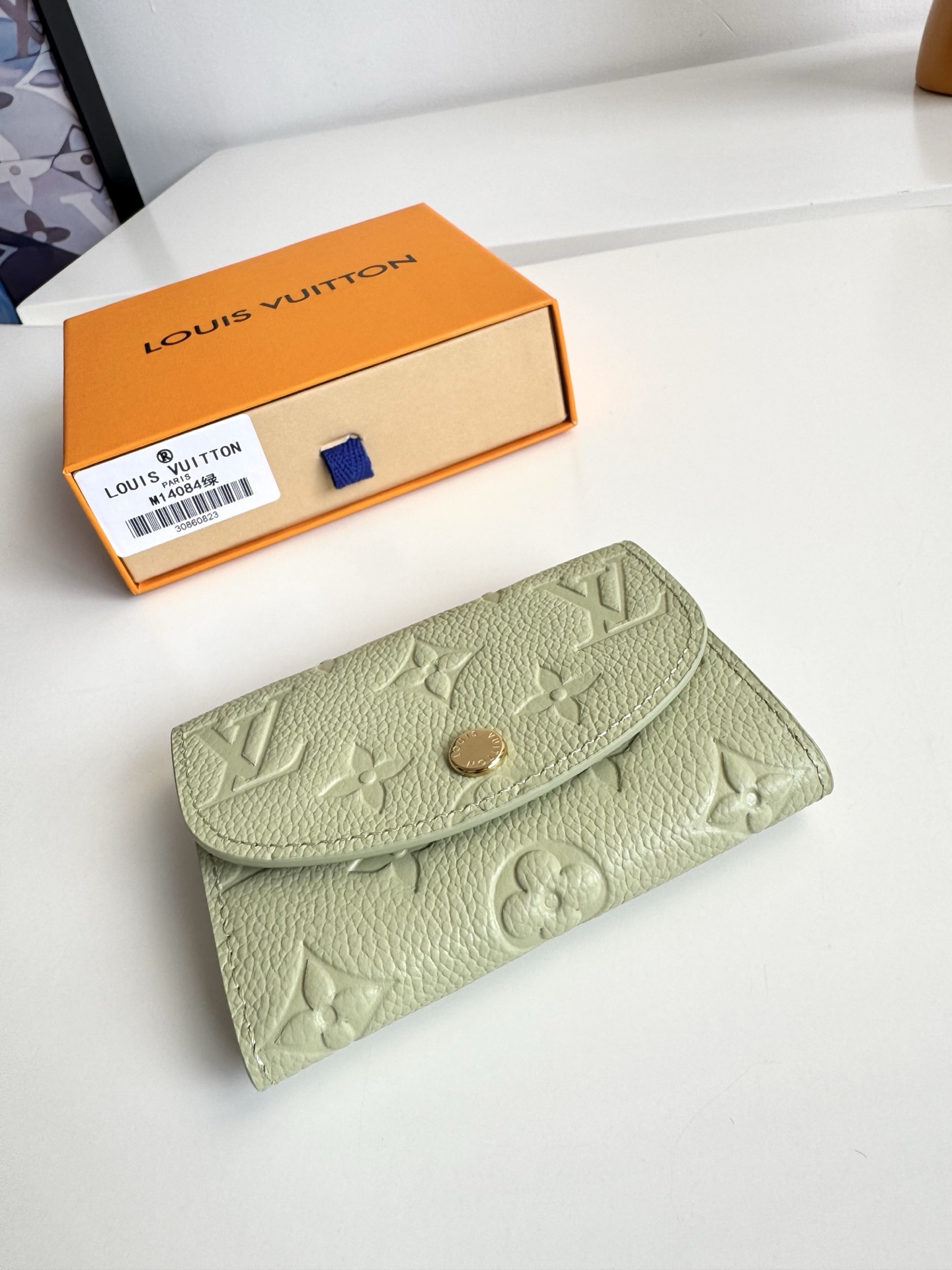 Louis Vuitton Basic Bag Canvas Green M-l-s