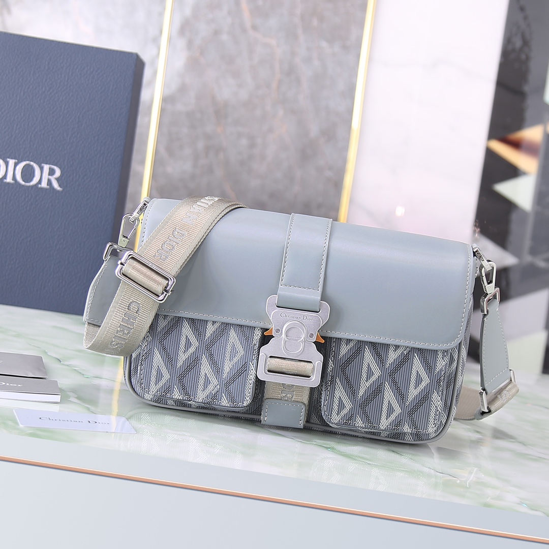 Dior Basic Bag Cow Leather Gray M-s