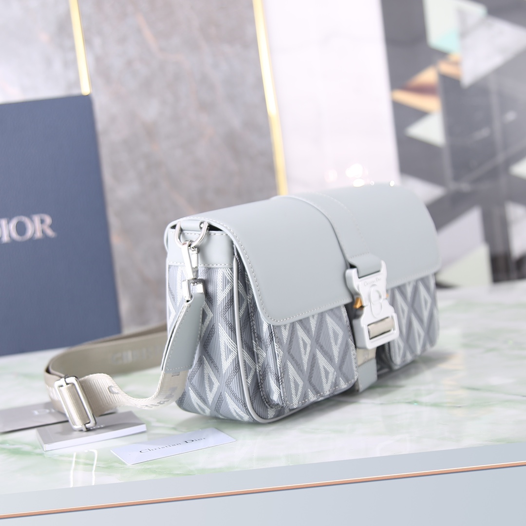 Dior Basic Bag Cow Leather Gray M-s