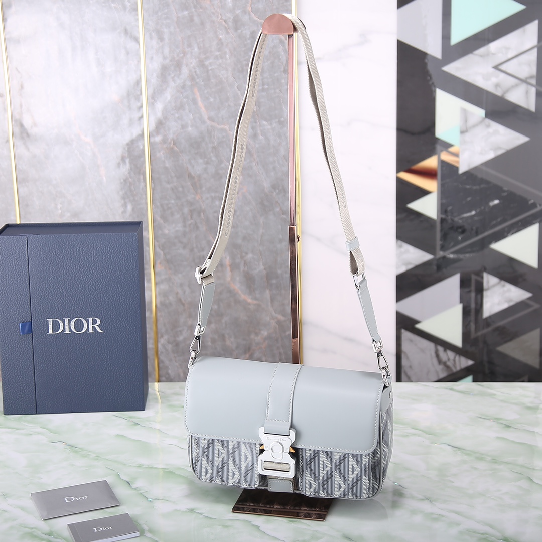 Dior Basic Bag Cow Leather Gray M-s