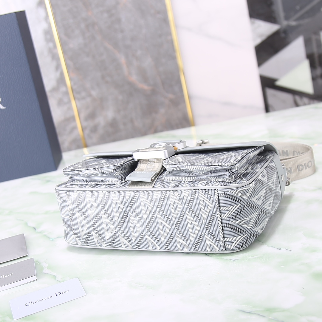 Dior Basic Bag Cow Leather Gray M-s