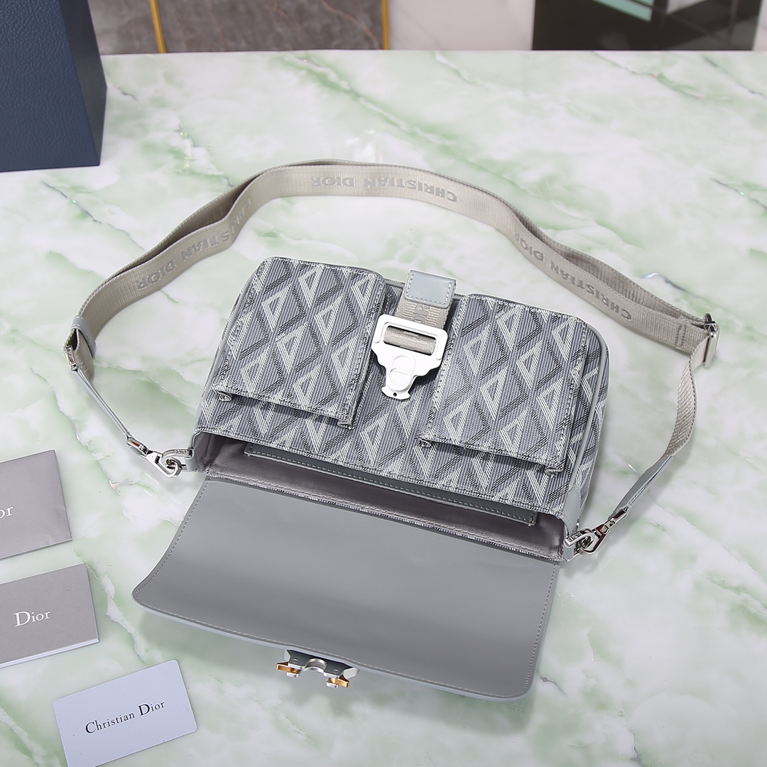 Dior Basic Bag Cow Leather Gray M-s
